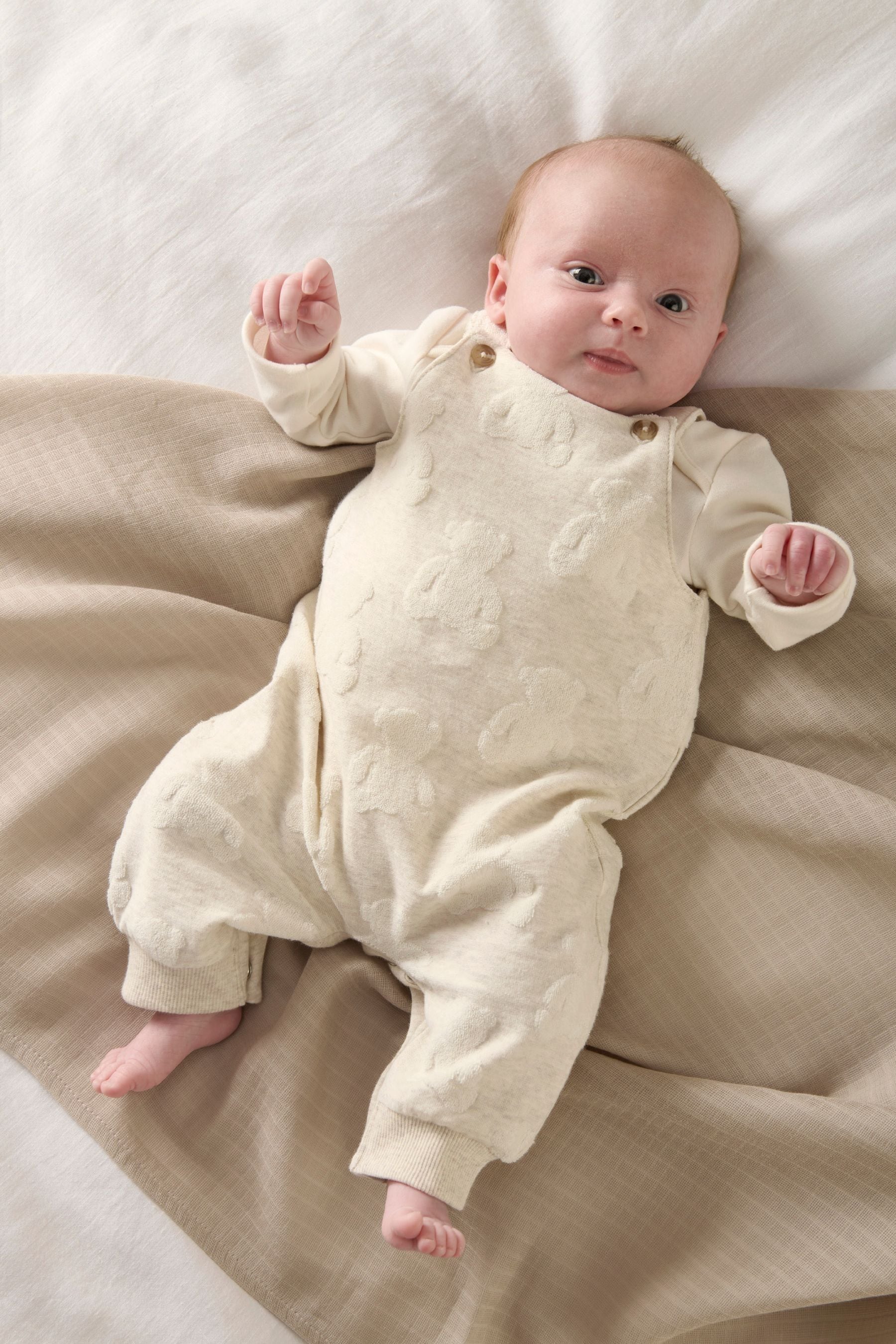 Cotton teddy nightwear new arrivals