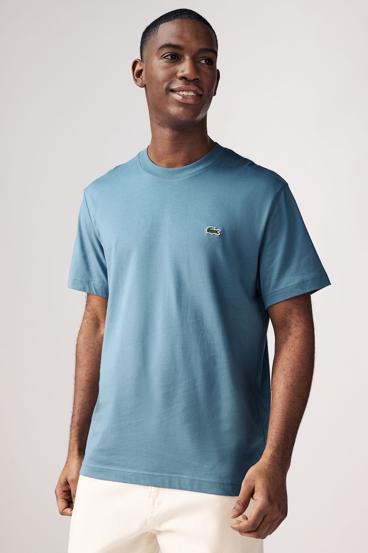 Lacoste Relaxed Fit Jersey 100% Cotton T-Shirt - Image 1 of 4