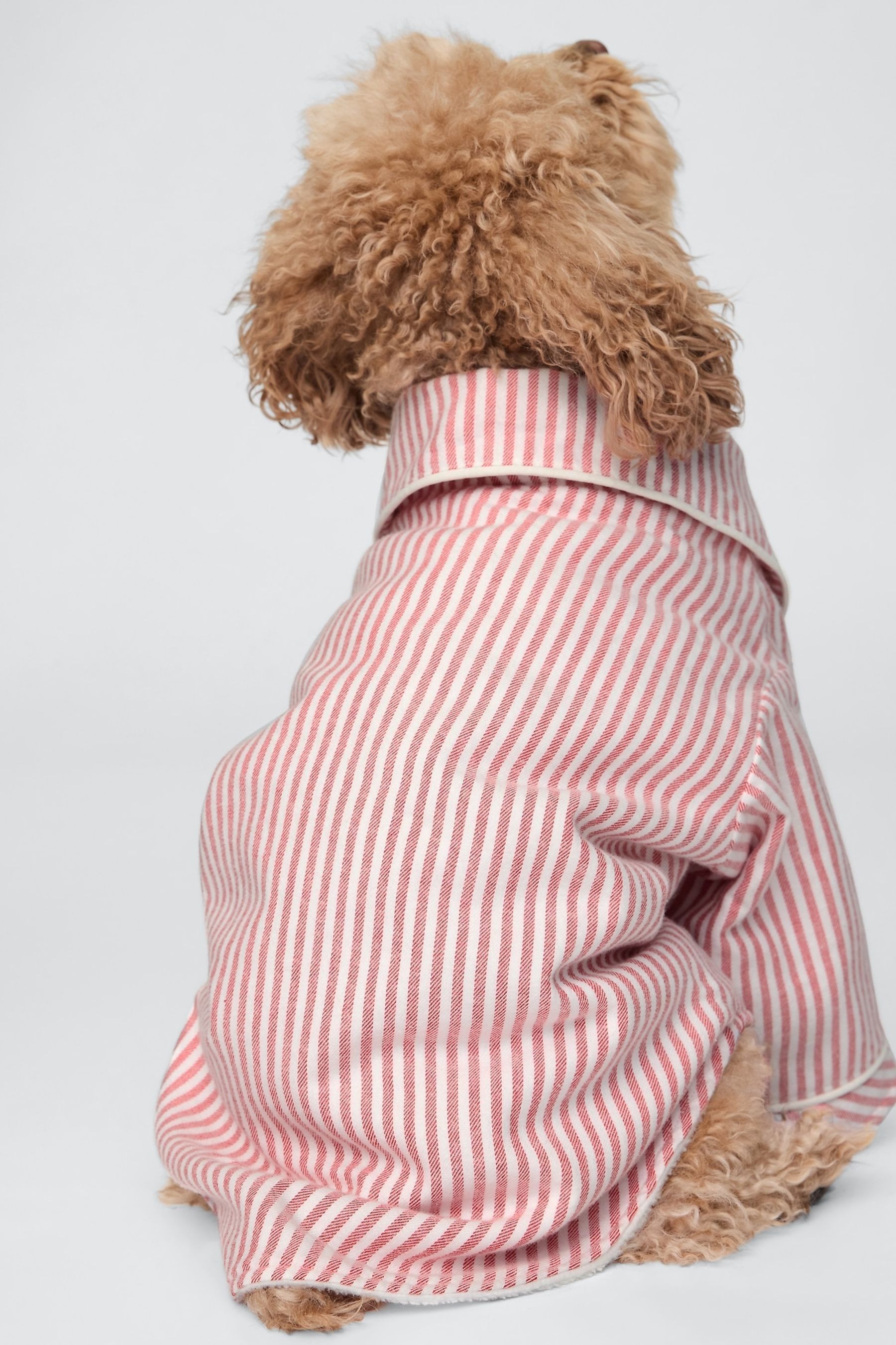 Buy Gap Red Stripe Matching Family Christmas Pet Pyjama Shirt from Next Luxembourg