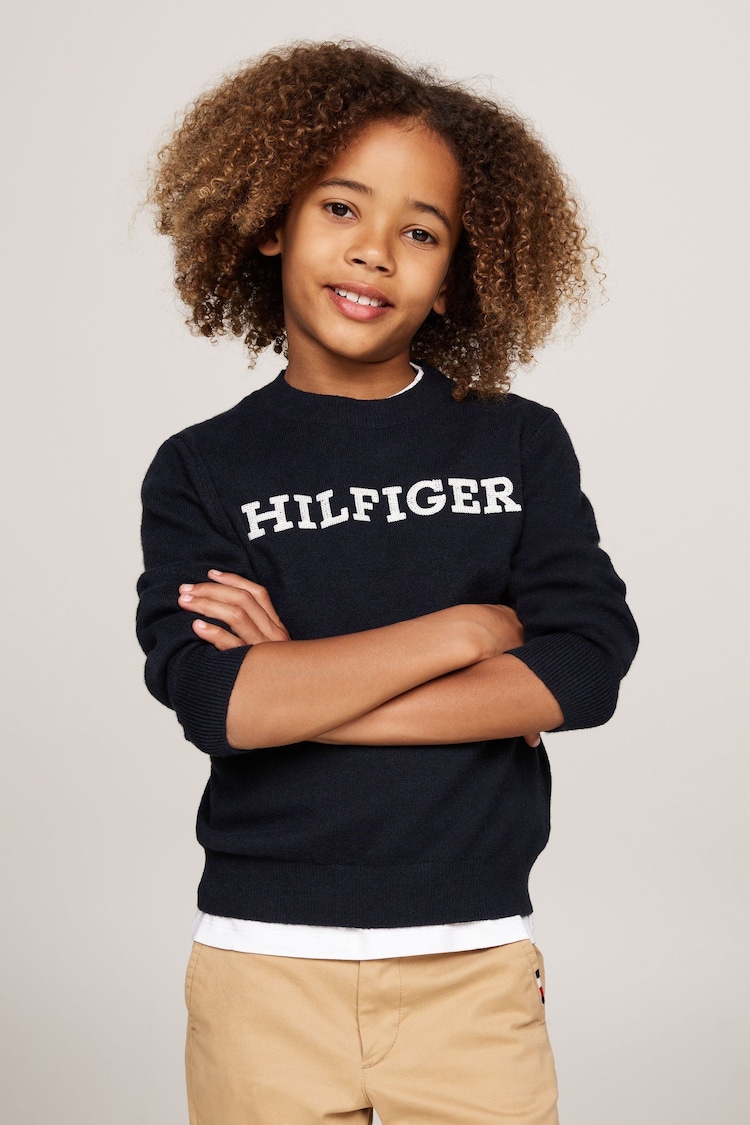 Tommy Hilfiger Blue Regular Fit Monotype Sweater - Image 1 of 5