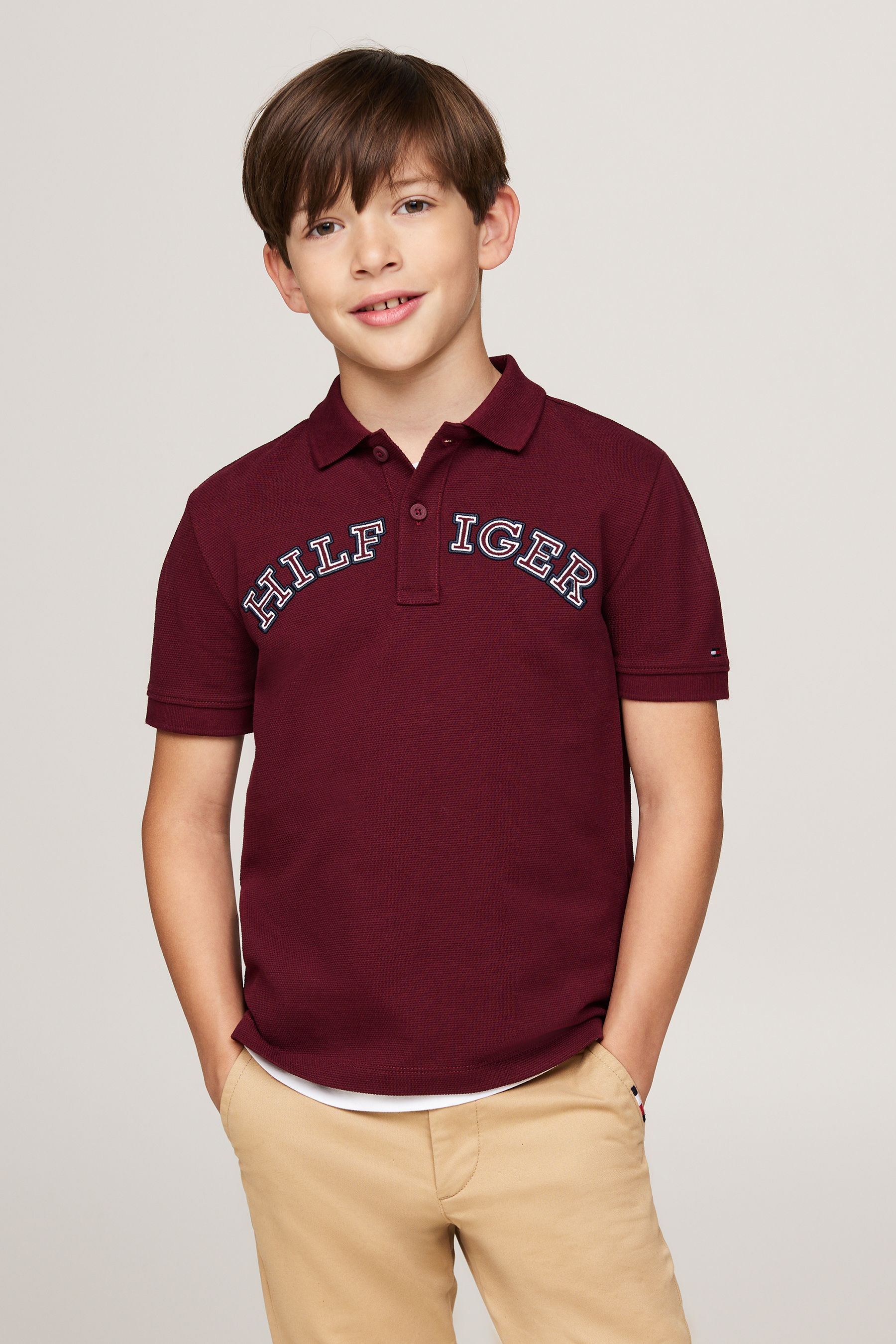 Tommy hilfiger regular polo sale