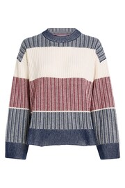 Tommy Hilfiger Blue Global Stripe All Over Sweater - Image 5 of 5