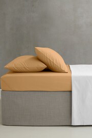 Catherine Lansfield Caramel Percale 180 Thread Count Fitted Bed Sheet - Image 1 of 2