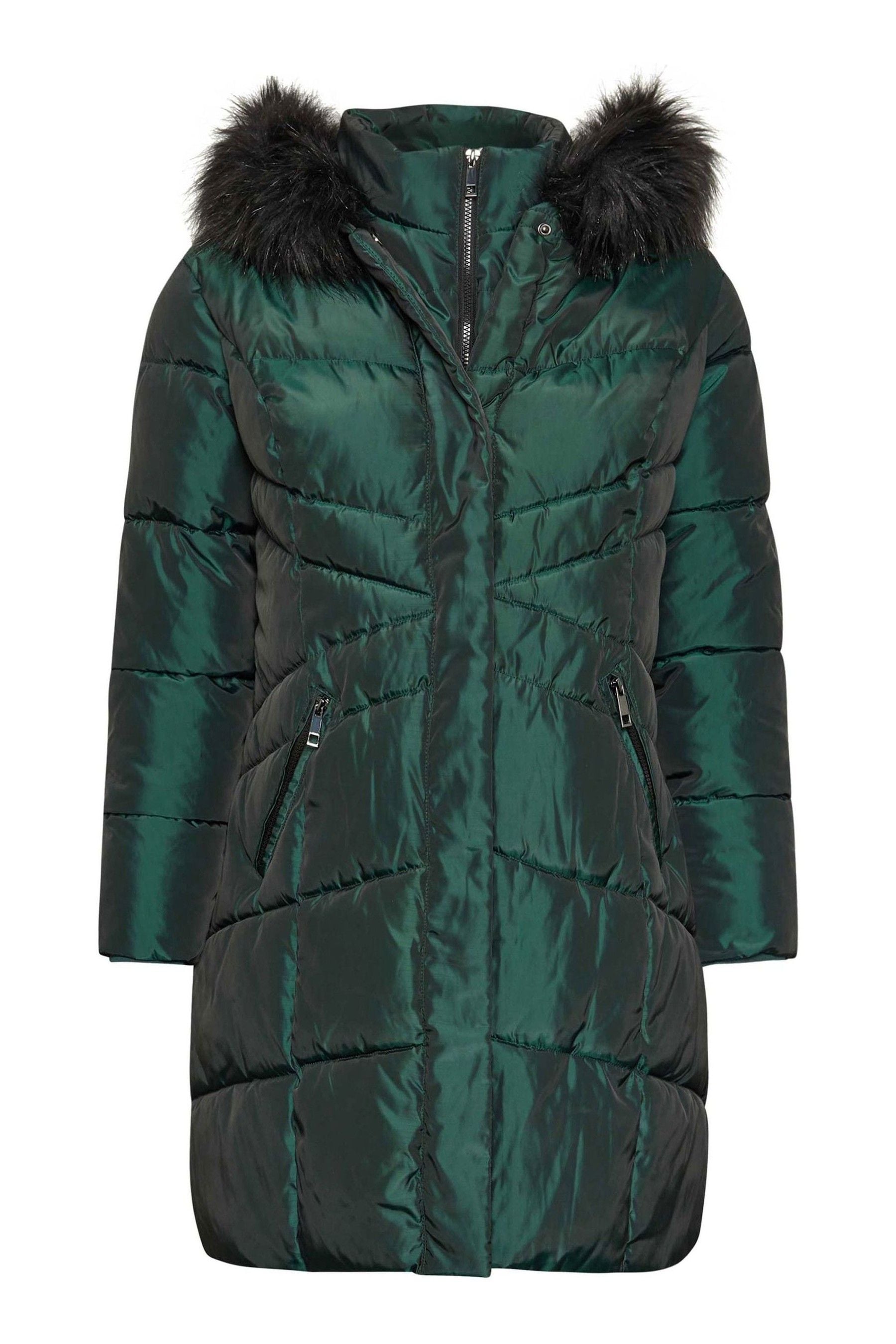 Buy Yours Curve Green Midi Padded Puffer Coat from Next Luxembourg