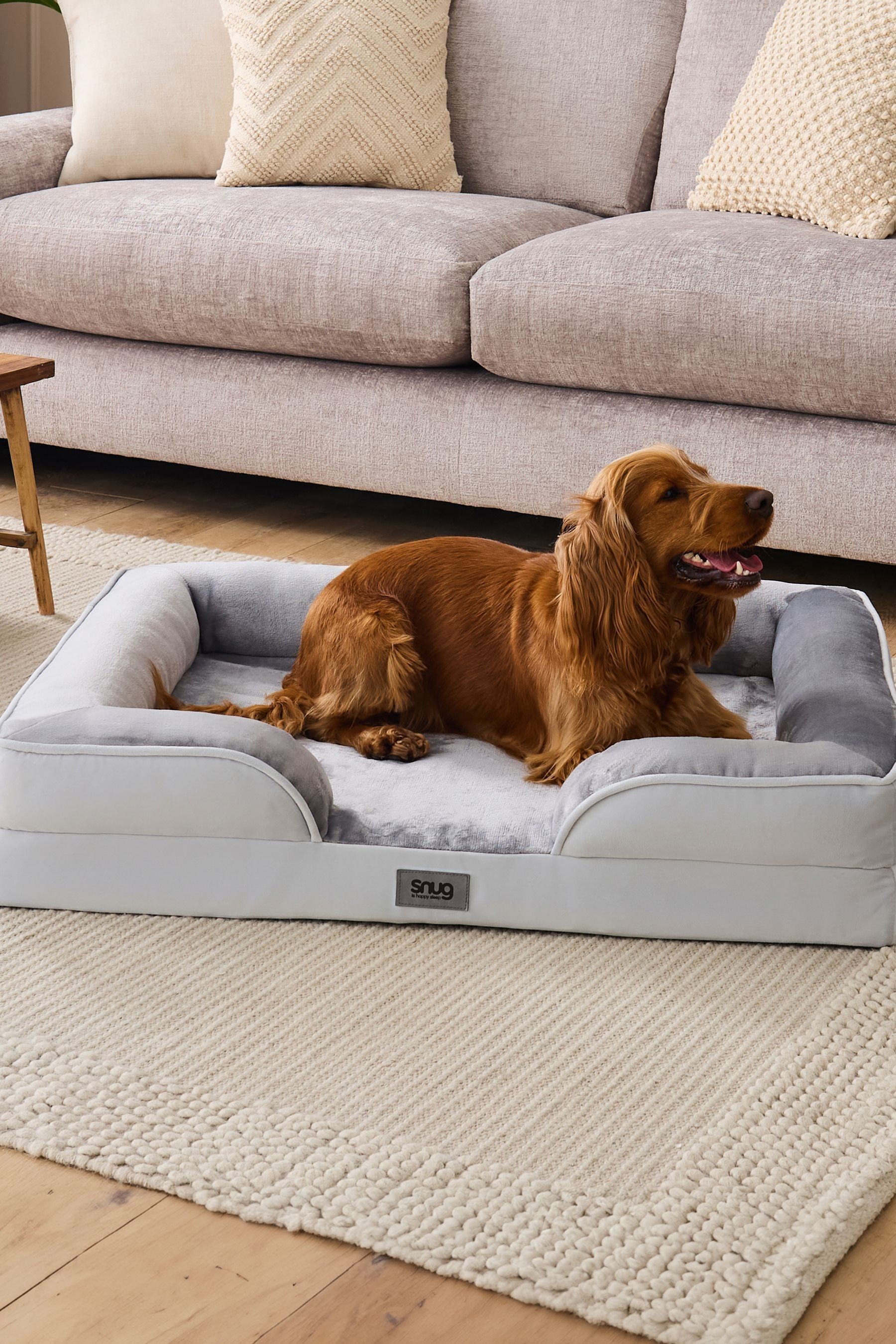 Buy Snug Grey Orthopedic Support Pet Bed from the Next UK online shop