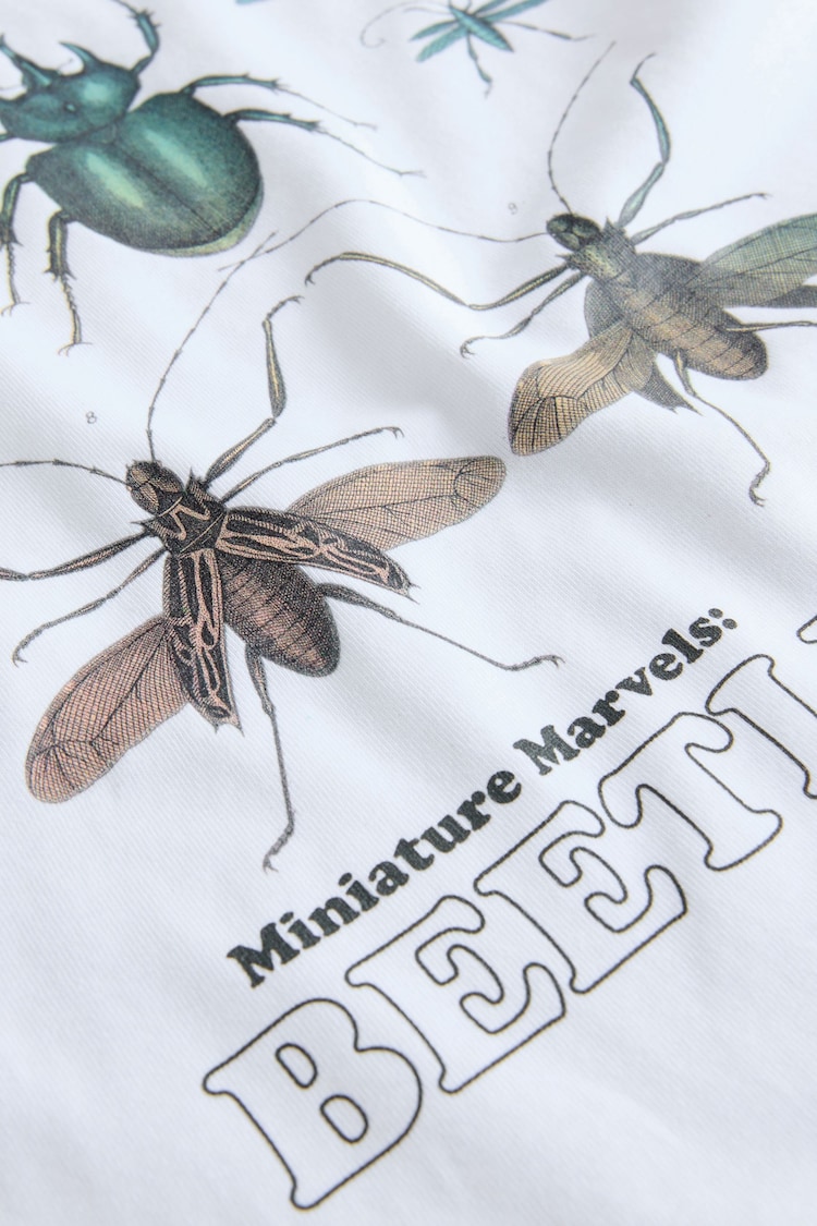 White Beetles Natural History Museum Short Sleeve 100% Cotton T-Shirt (3-16yrs) - Image 4 of 4