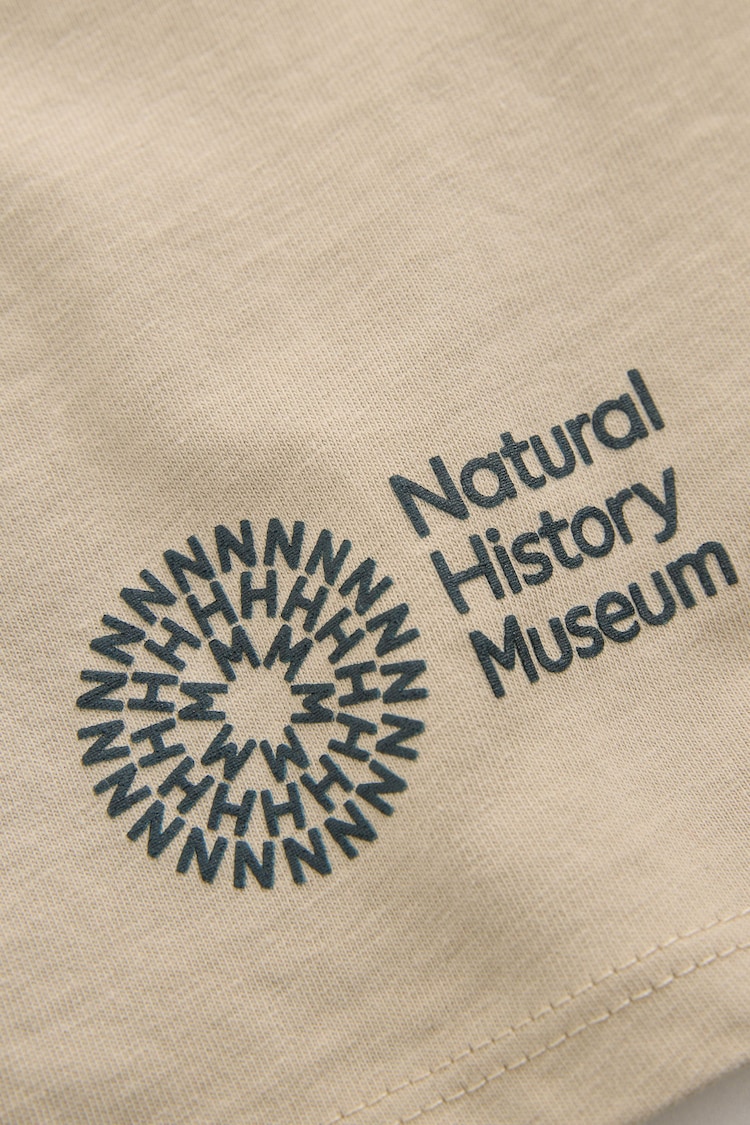 Stone Natural History Museum Short Sleeve 100% Cotton T-Shirt (3-16yrs) - Image 6 of 6