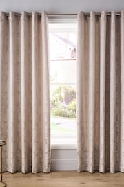 Catherine Lansfield Champagne Damask Jacquard Lined Eyelet Curtains - Image 1 of 2