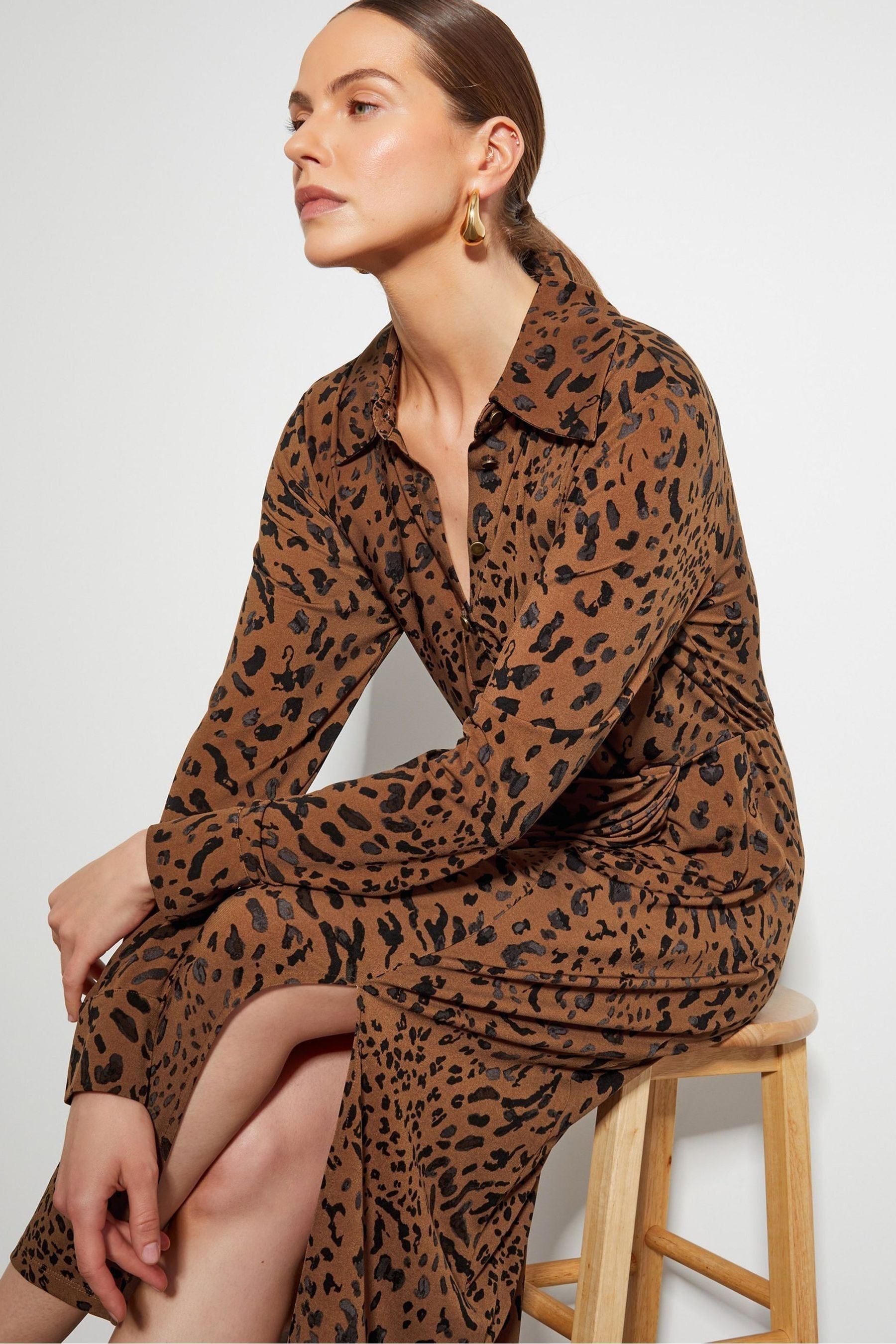Monsoon Brown Aubrey Jersey Leopard Print Dress