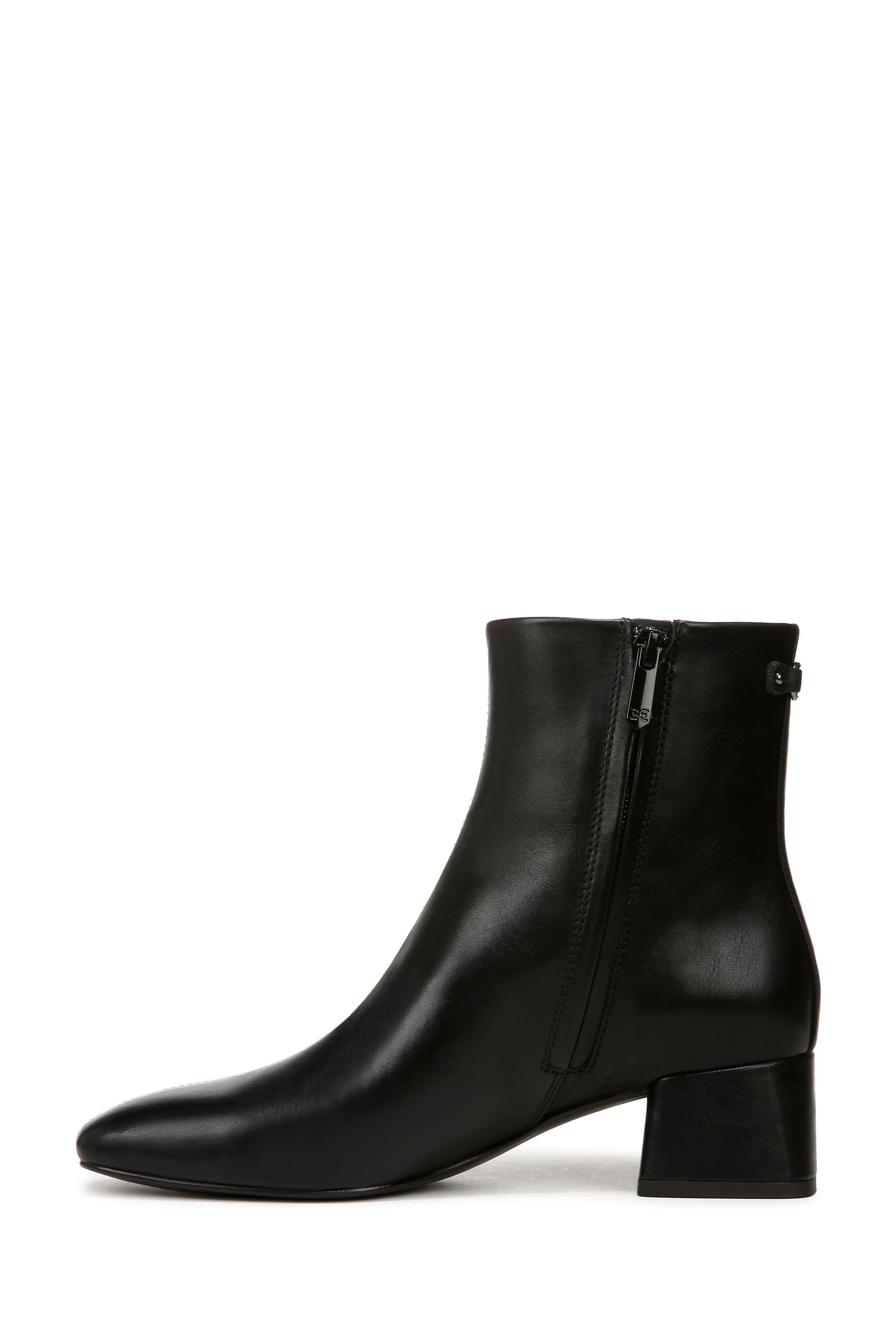 Sam edelman paige 2025