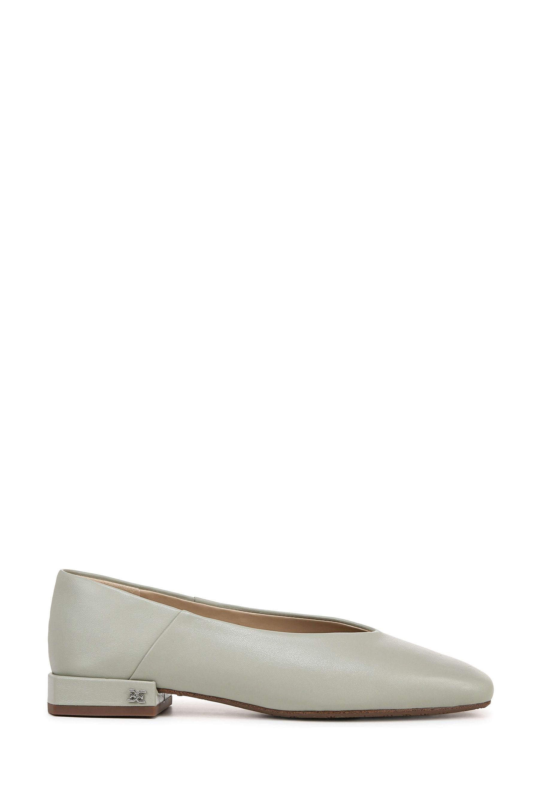 Buy Sam Edelman Kasey Ballet Flat Shoes from Next Ireland