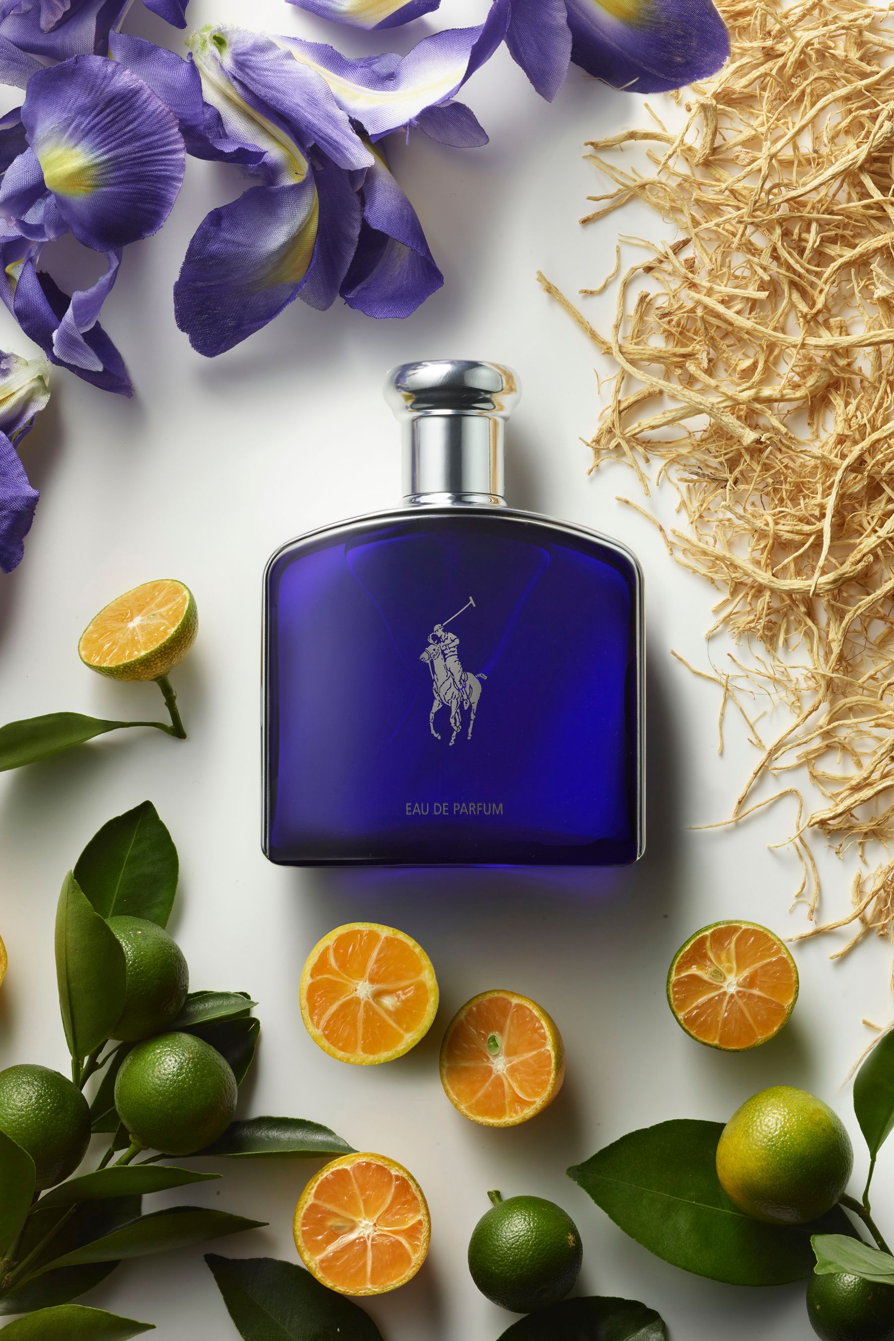 Polo purple perfume sale
