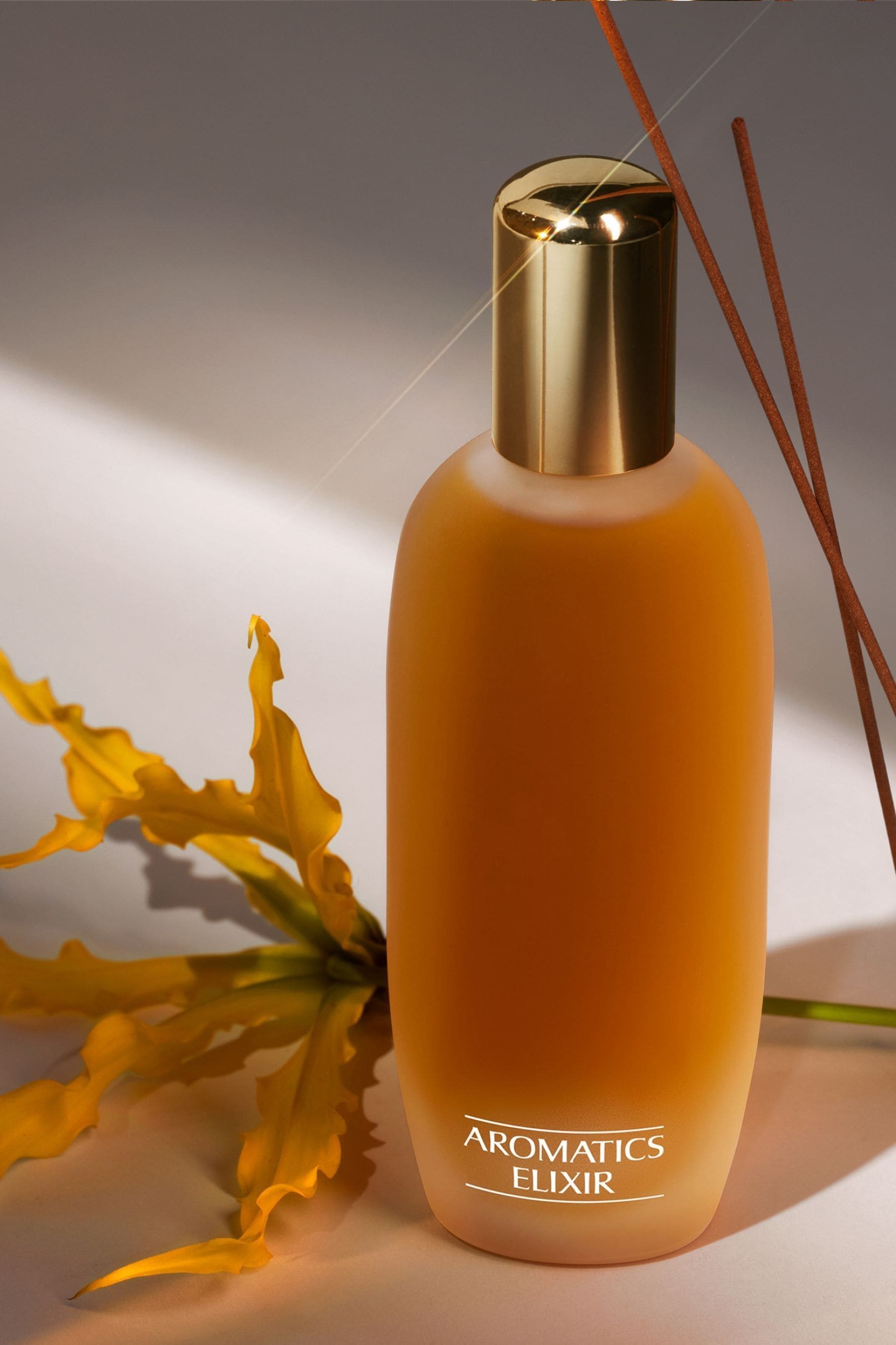 Buy Clinique Aromatics Elixir Eau de Perfume Spray 100ml from the Next UK online shop