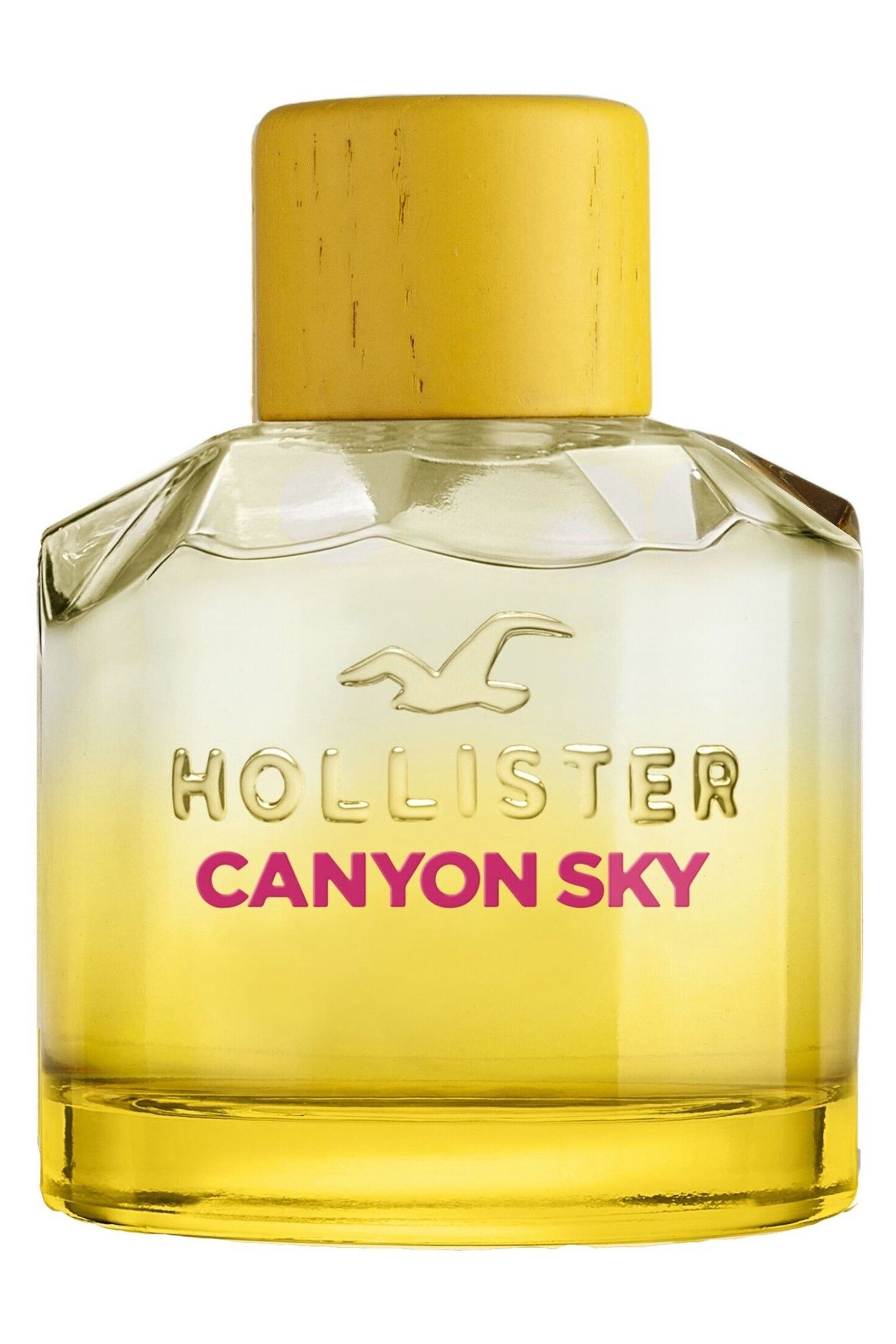 Next hollister cheap