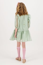 Angels Face Green Lark Rose Trim Dress - Image 3 of 5