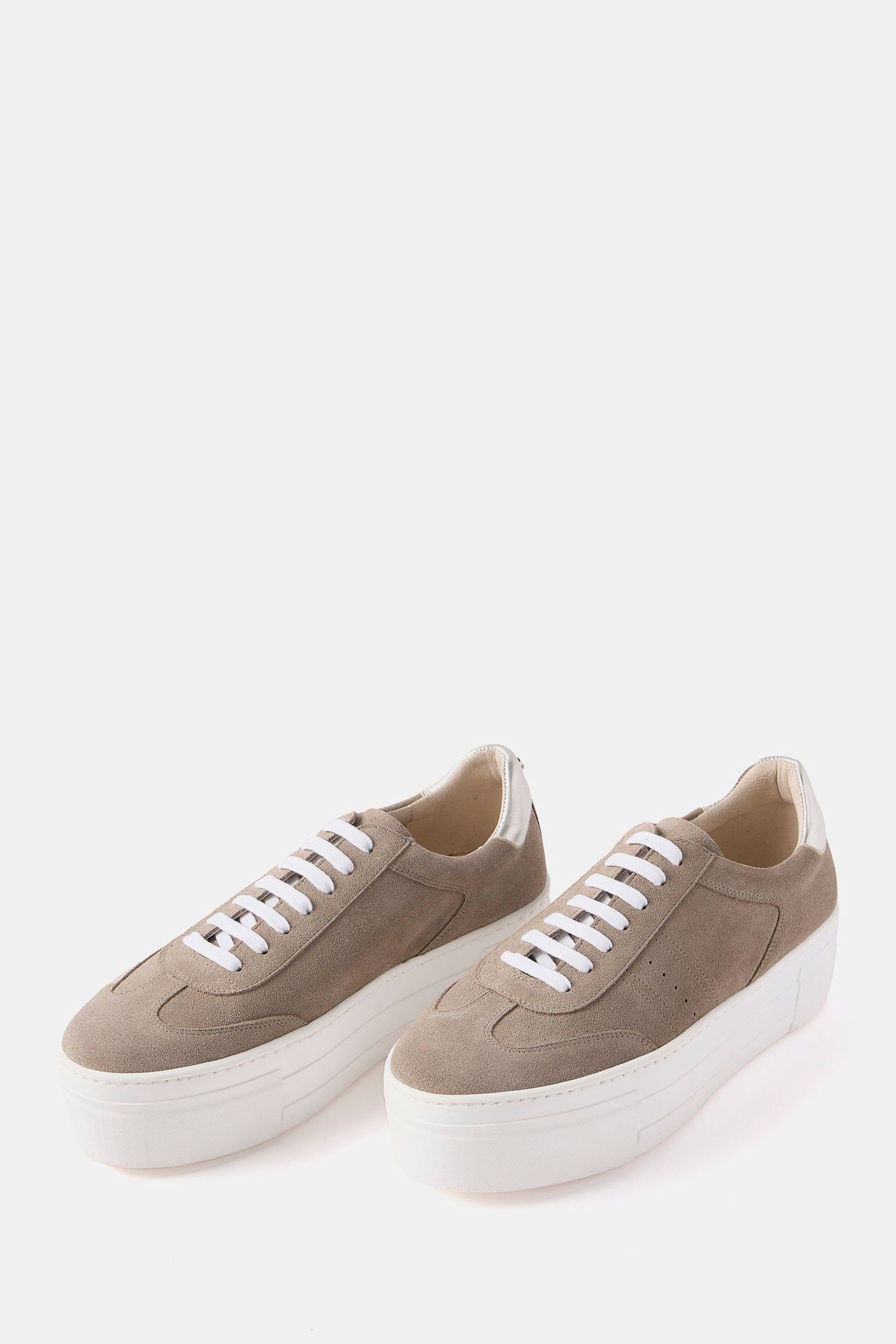 Next mint velvet trainers hotsell