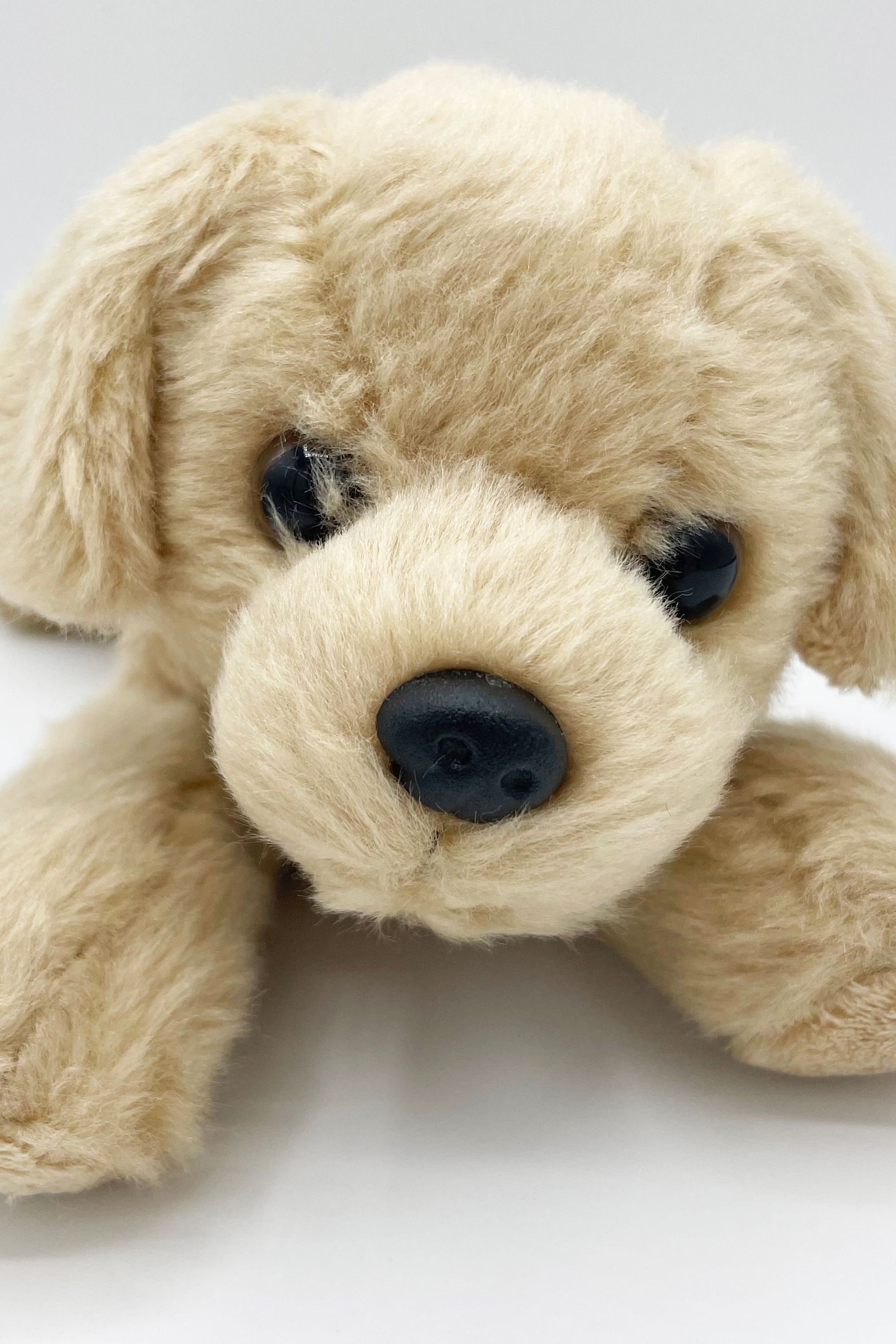 Buy Aurora World Mini Flopsies Golden Retriever 8 Inch Plush from the Next UK online shop