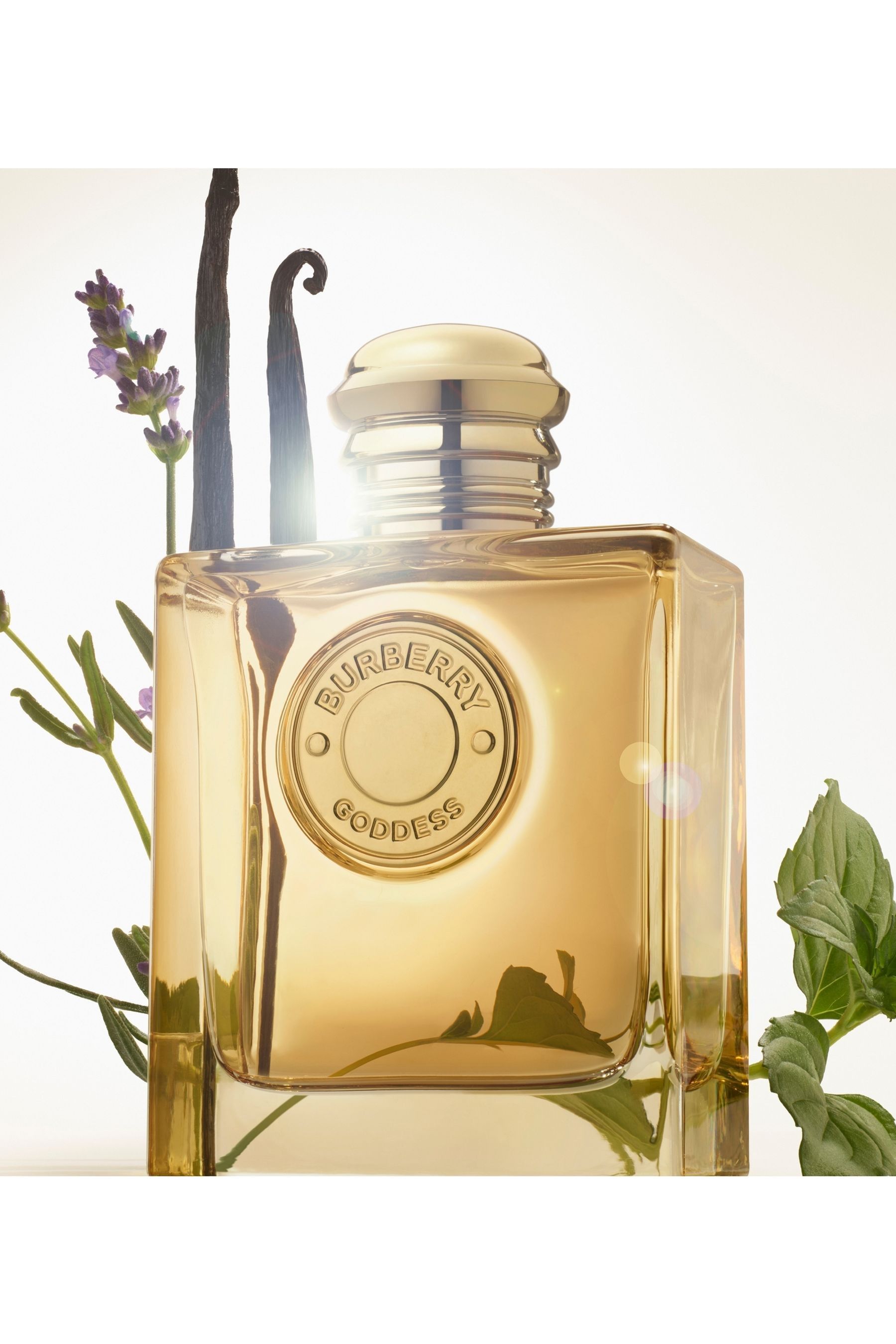 Burberry fragrances 30ml discount