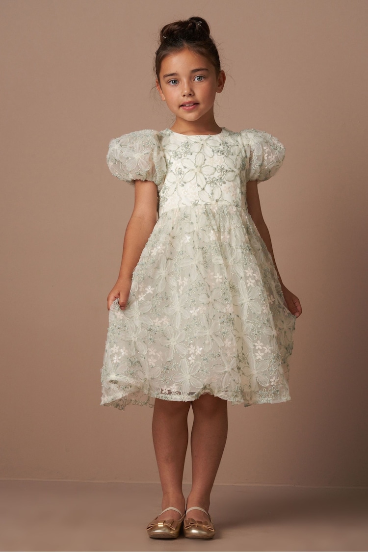 Angel & Rocket Green Eva Embellished Tulle Dress - Image 1 of 7