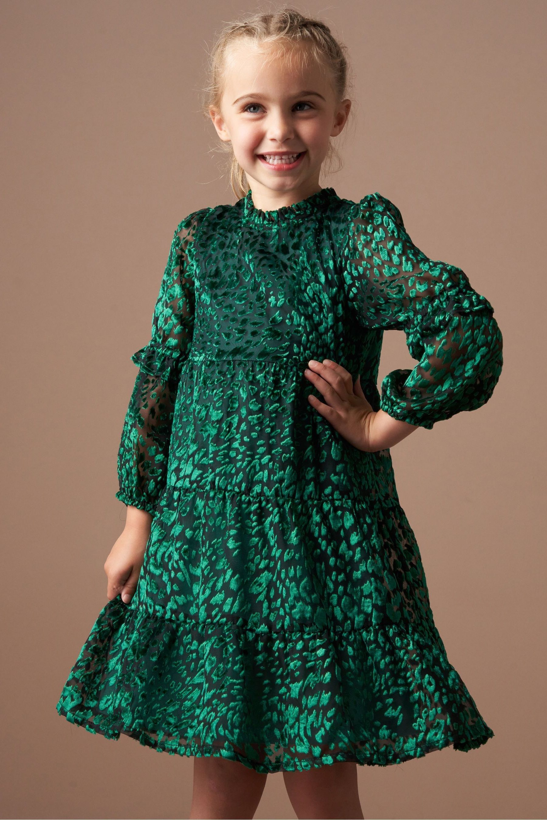 Buy Angel Rocket Green Poppy Devore Velvet Dress from Next Luxembourg