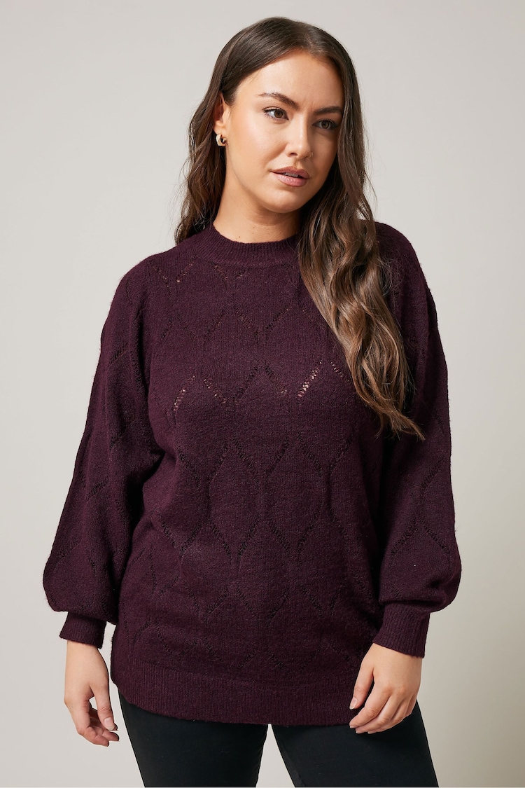 Evans Pointelle Jumper - Image 1 of 5