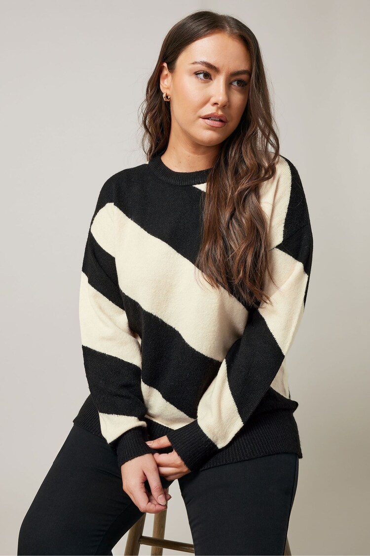 Evans Cream/Black Diagonal Stripe Jumper - Image 1 of 5