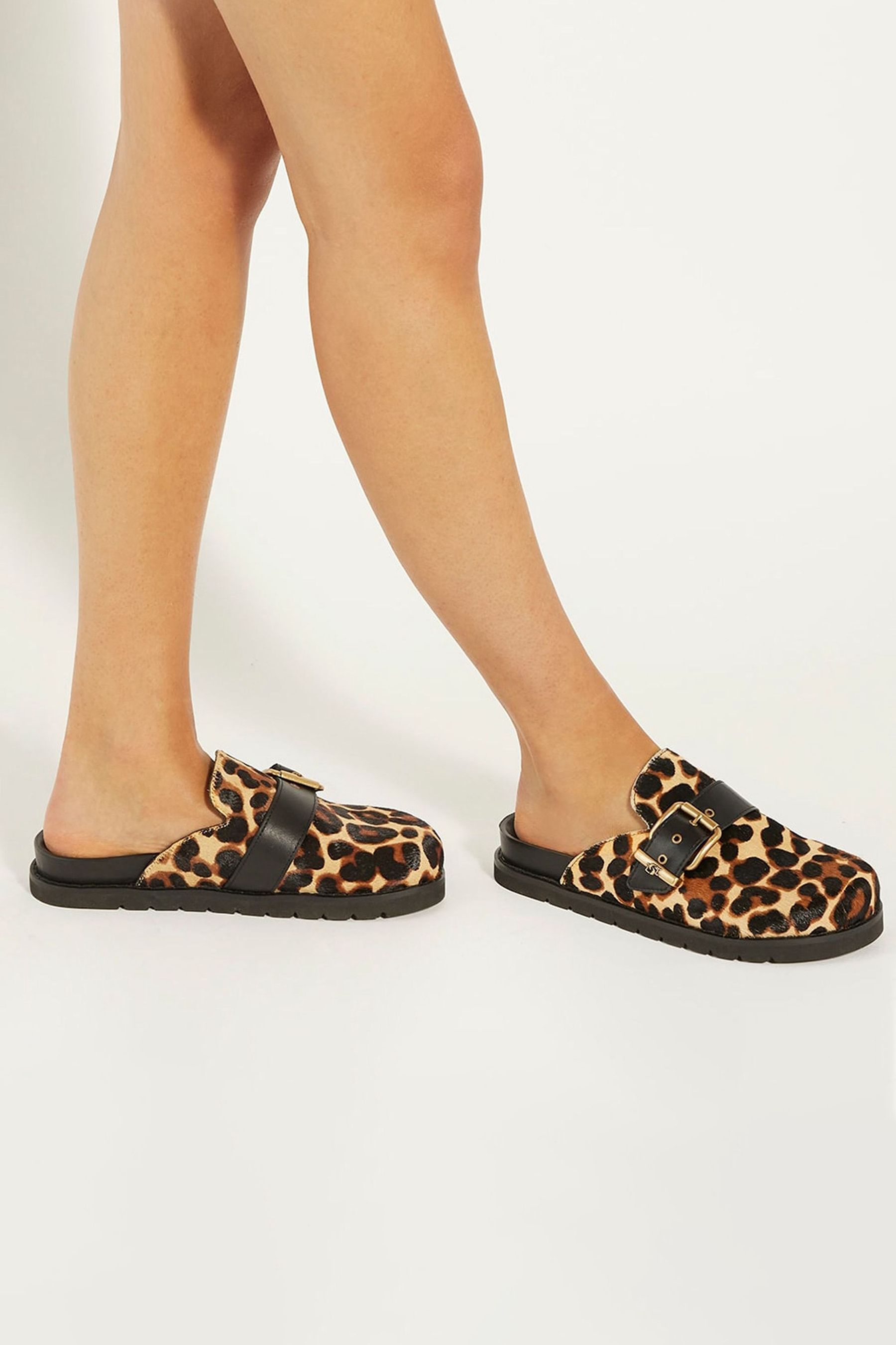 Buy Dune London Animal Print Glorria Studded Backless Shoes from Next Luxembourg