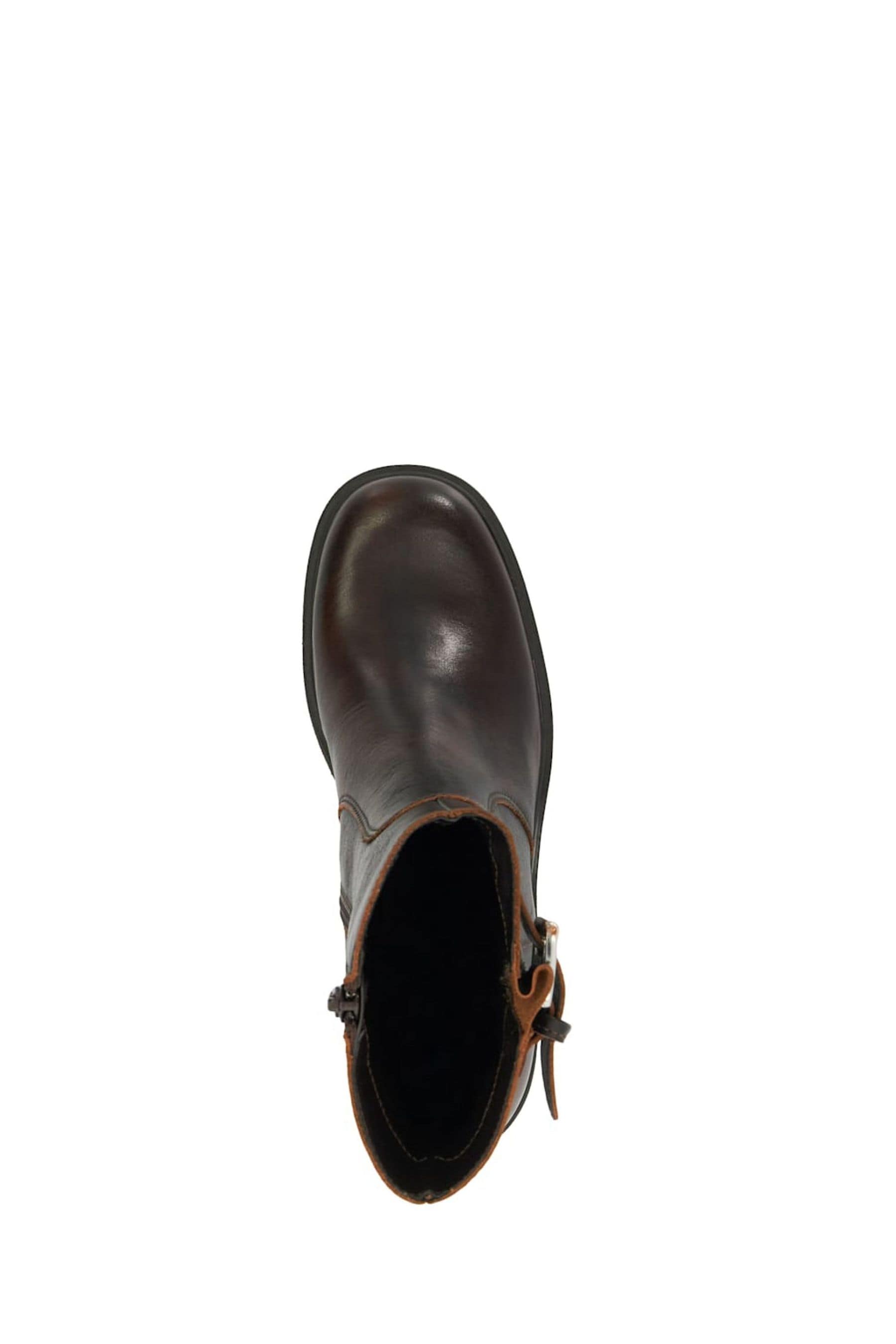 Dune London Brown Parlowe Buckle Ankle Boots