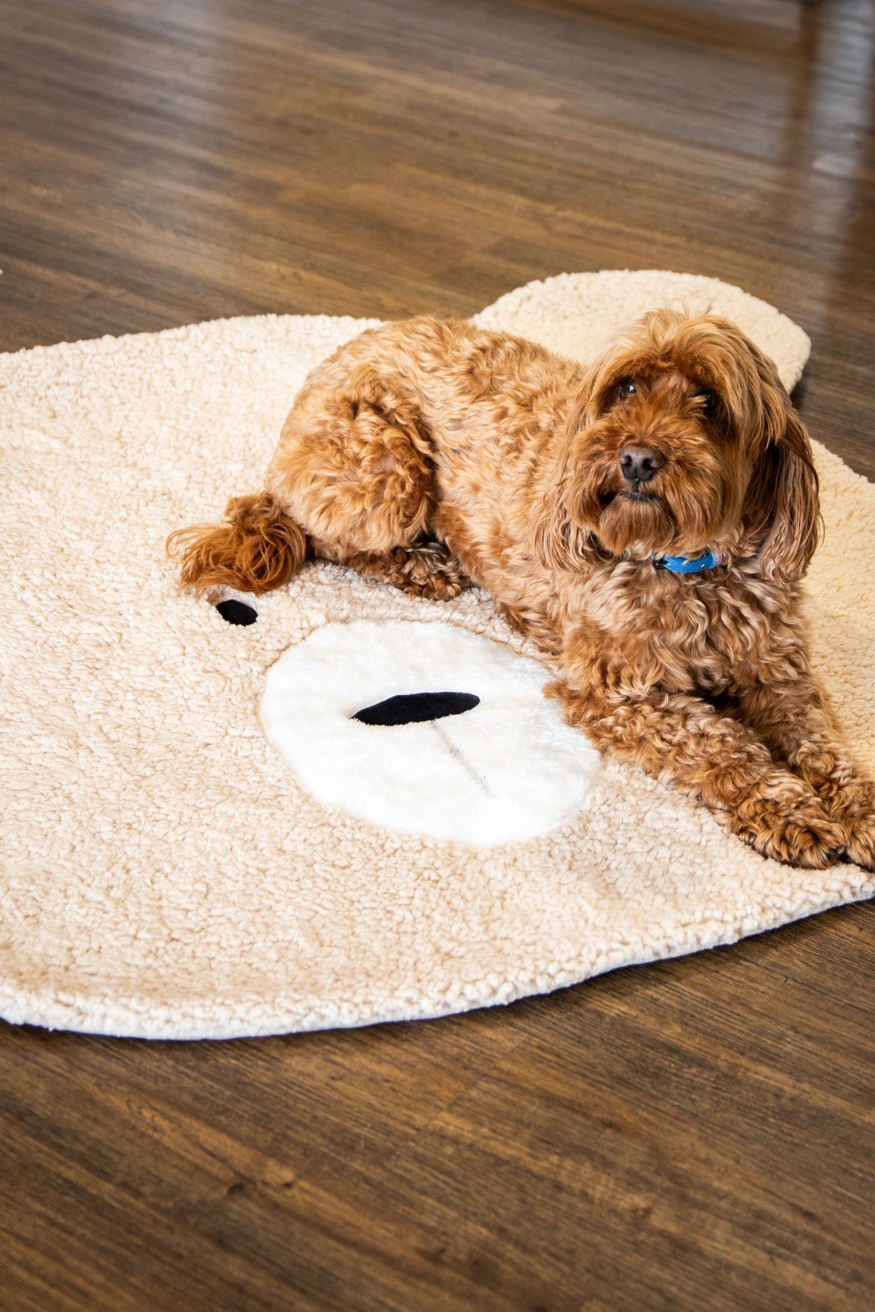 Rosewood Beige Teddy Bear Dog Blanket