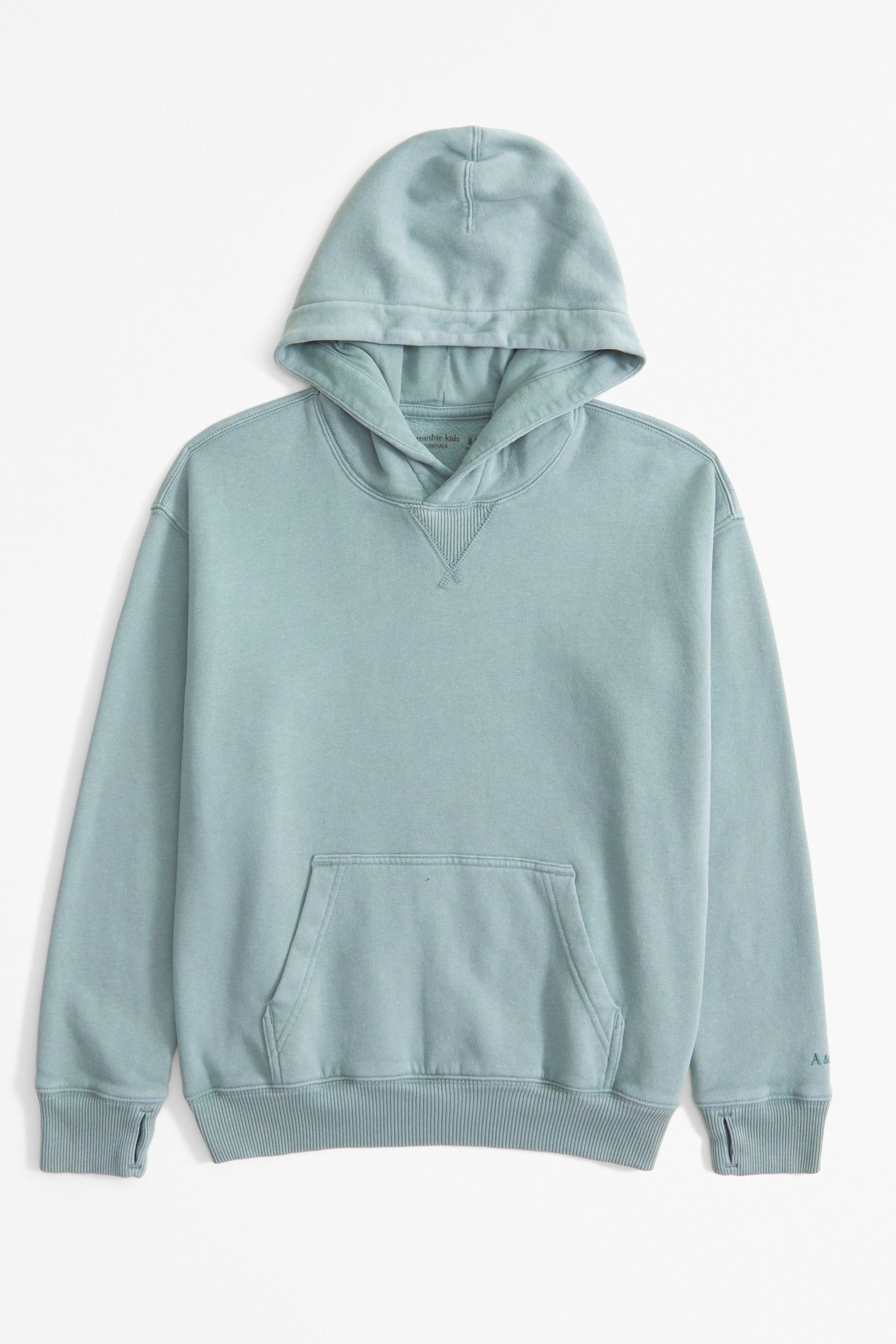 Buy Abercrombie Fitch Green Washed Logo Hoodie from Next United Arab Emirates