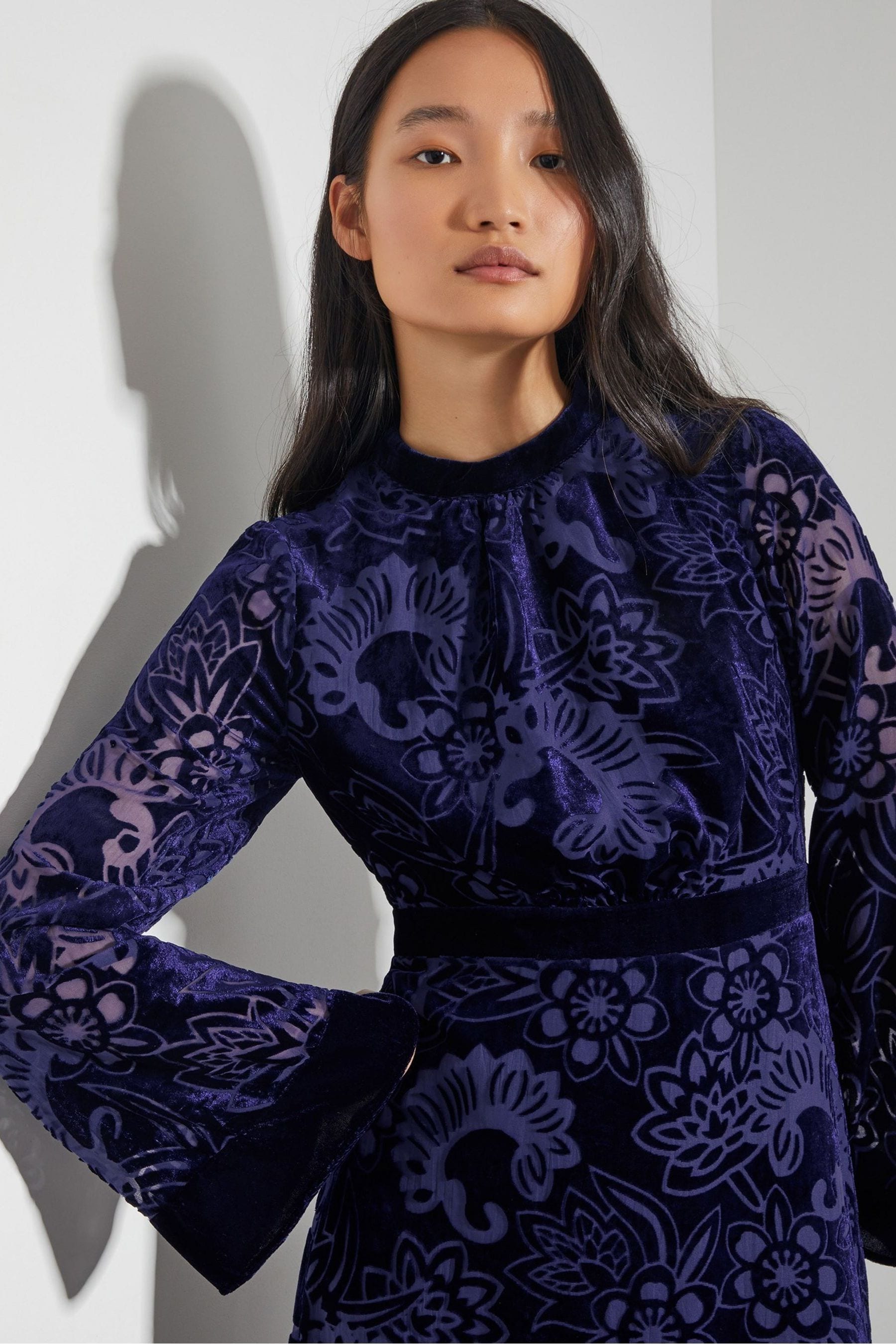 Monsoon Blue Eva Floral Print Velvet Midi Dress