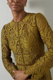 Buy LK Bennett Green Gracie Moss Trimmed Lace Dress from the Next UK