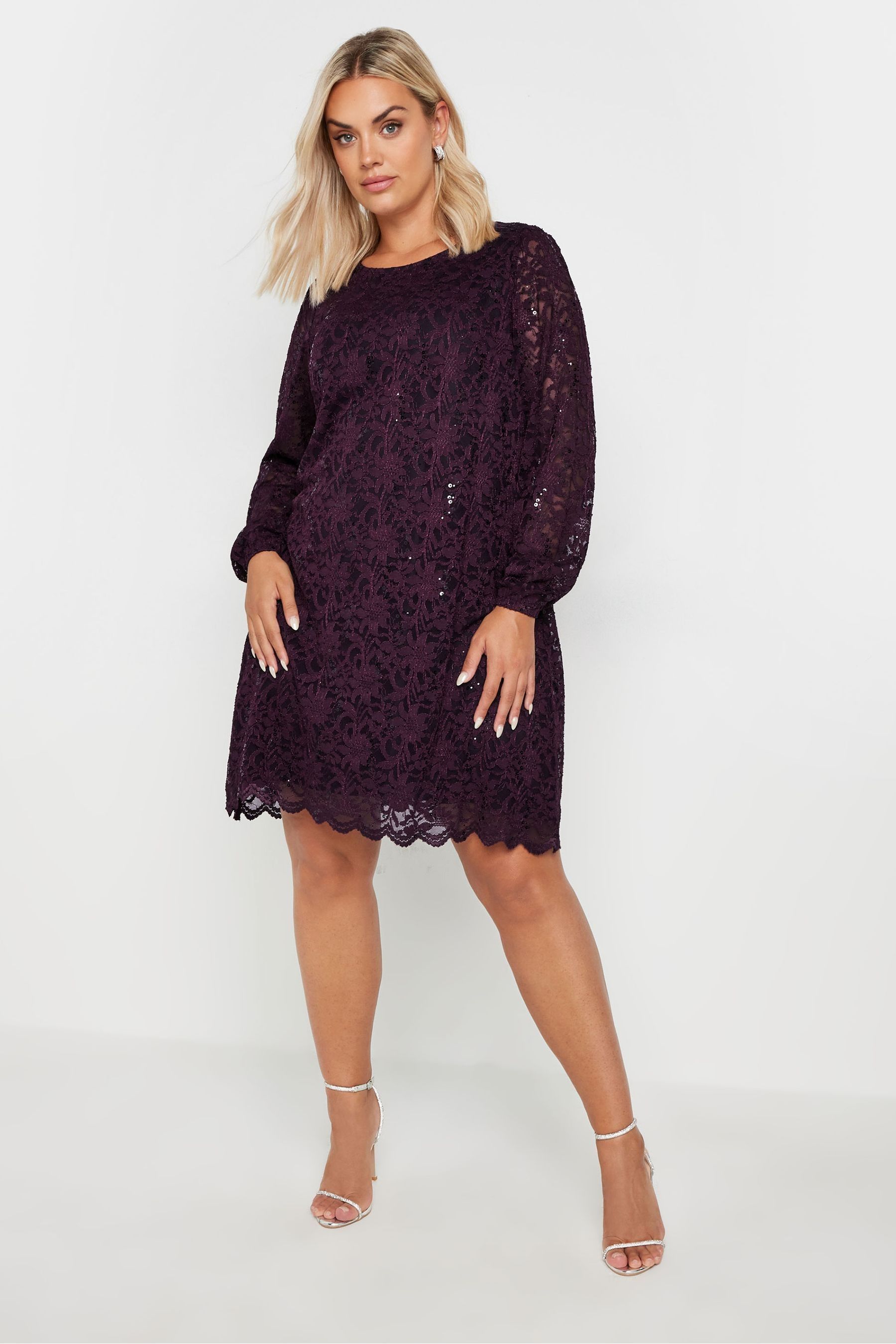 Buy Yours Curve Purple Lace Midi Dress from Next Luxembourg
