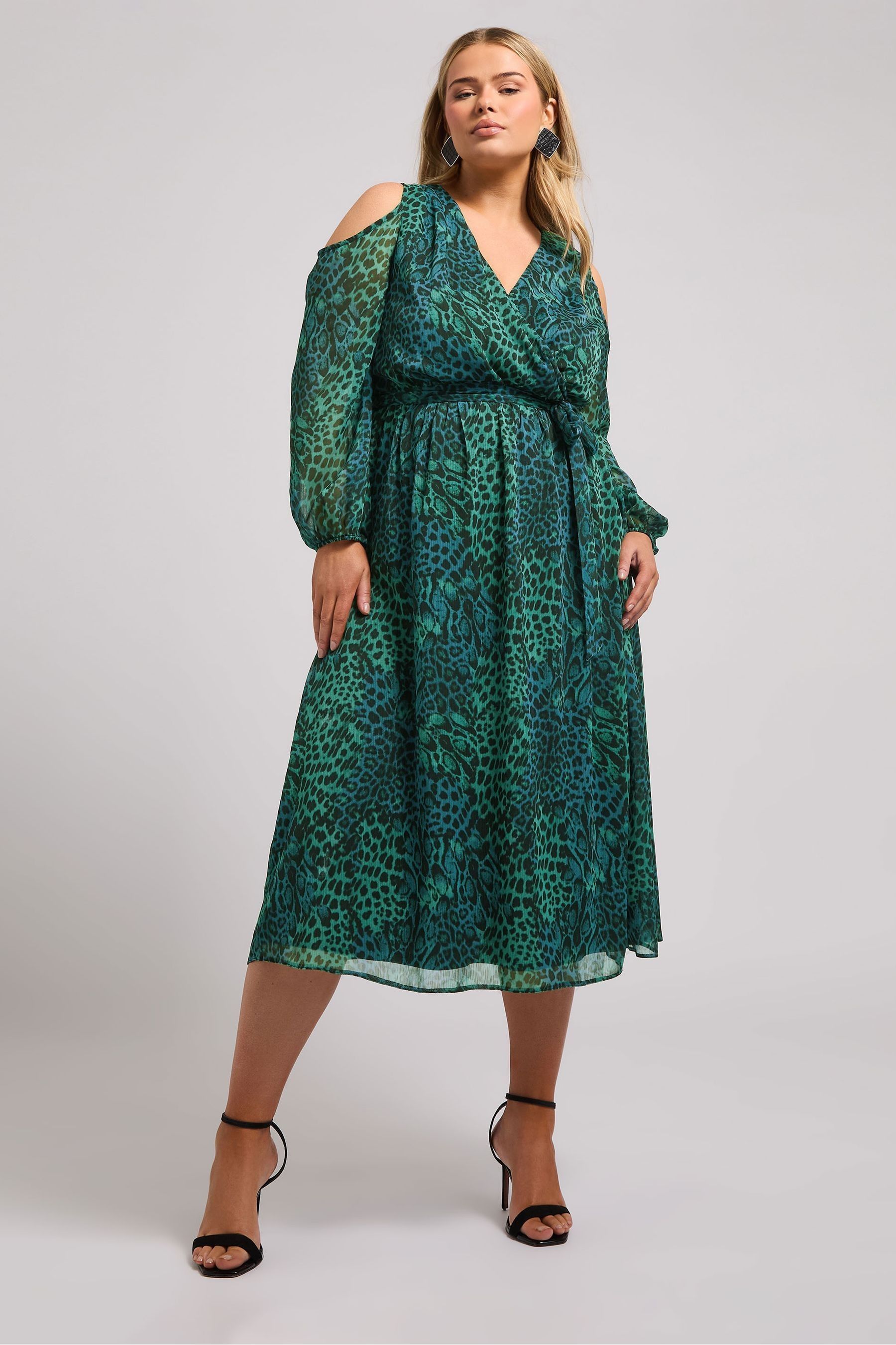 Next teal animal print dress hot sale