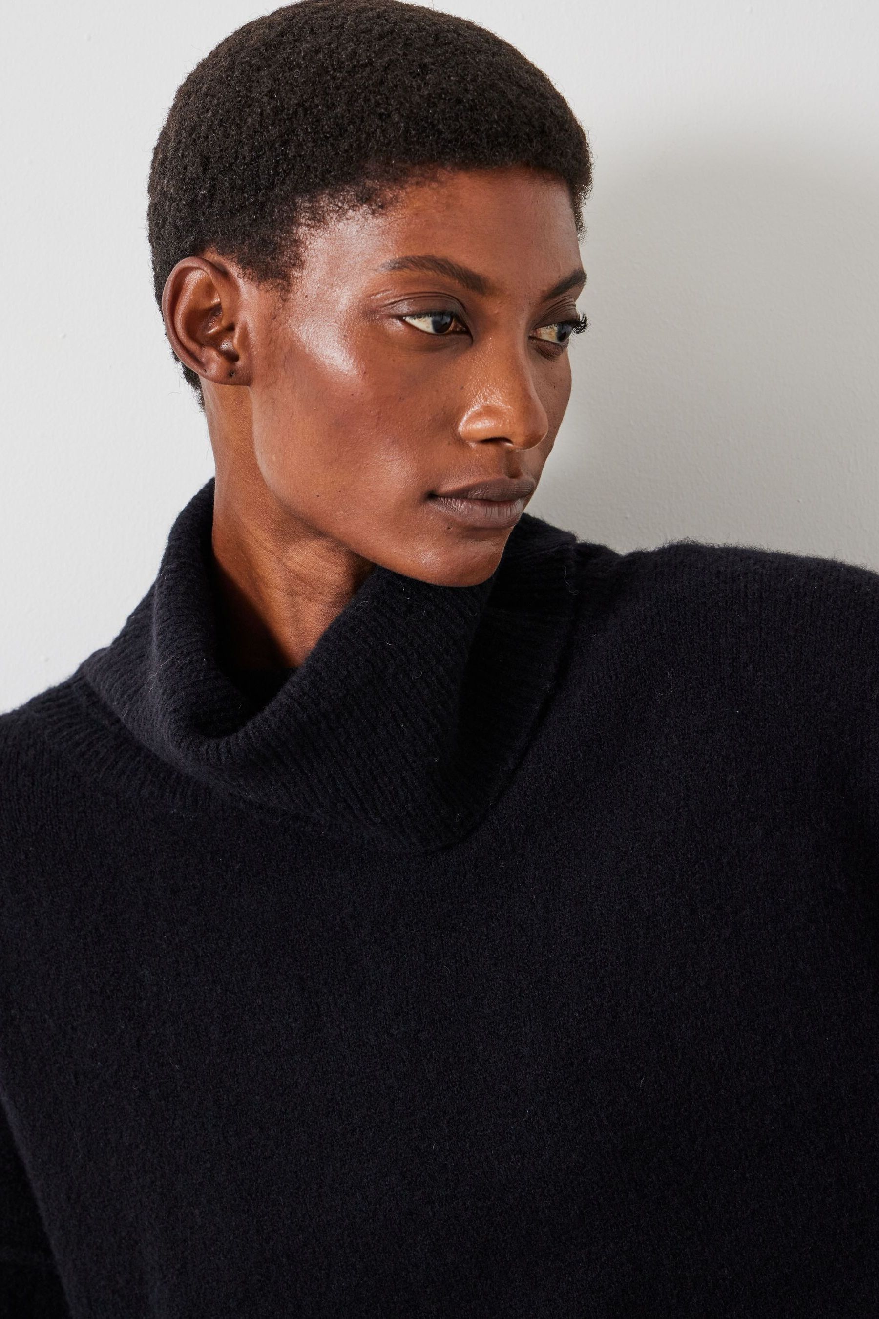 Buy Hush Charcoal Black Meryl Roll Neck Wool Blend Jumper from the Next UK online shop