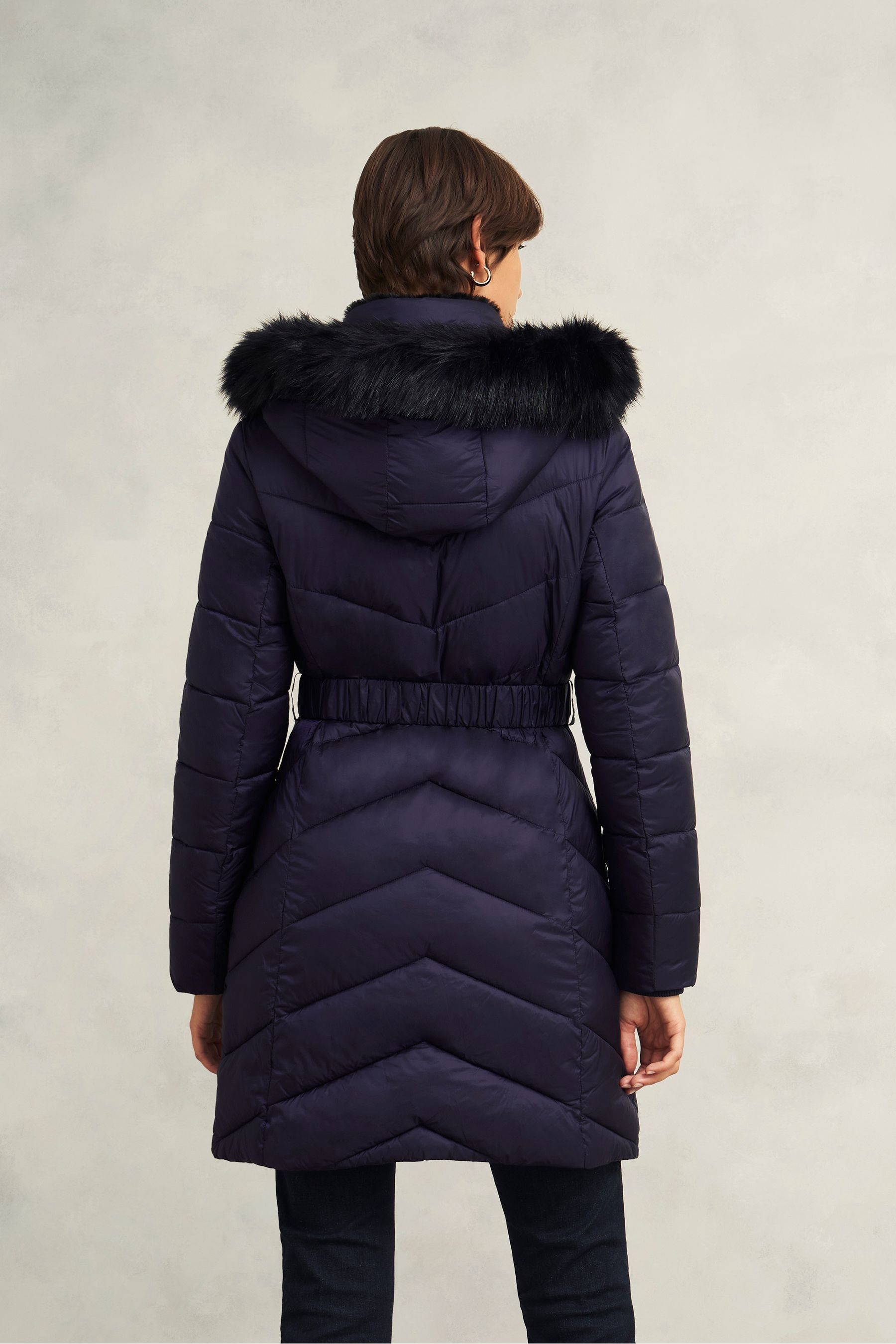 Wallis petite padded coat outlet