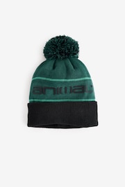 Animal Green Dylan Recycled Ski Pom Beanie - Image 1 of 1