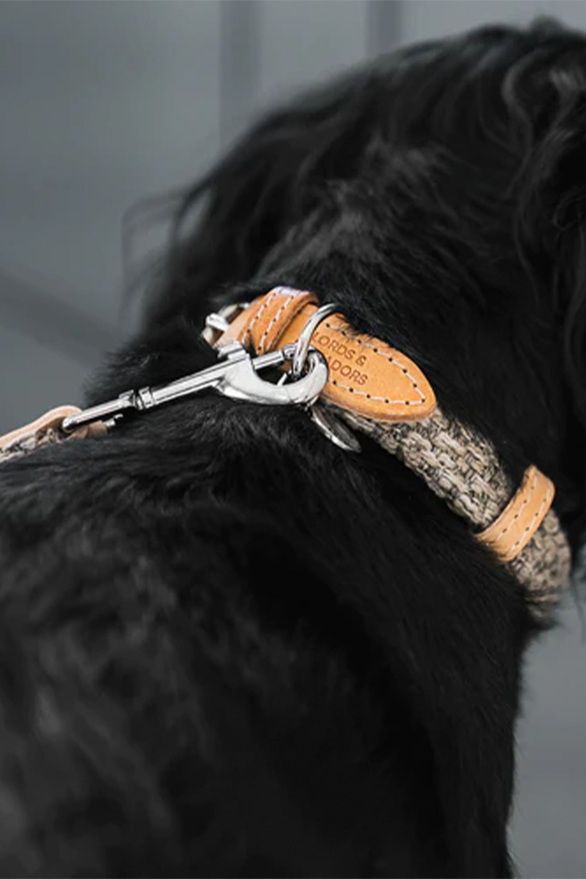 Lords and Labradors Pebble Essentials Herdwick Dog Collar - Image 3 of 6