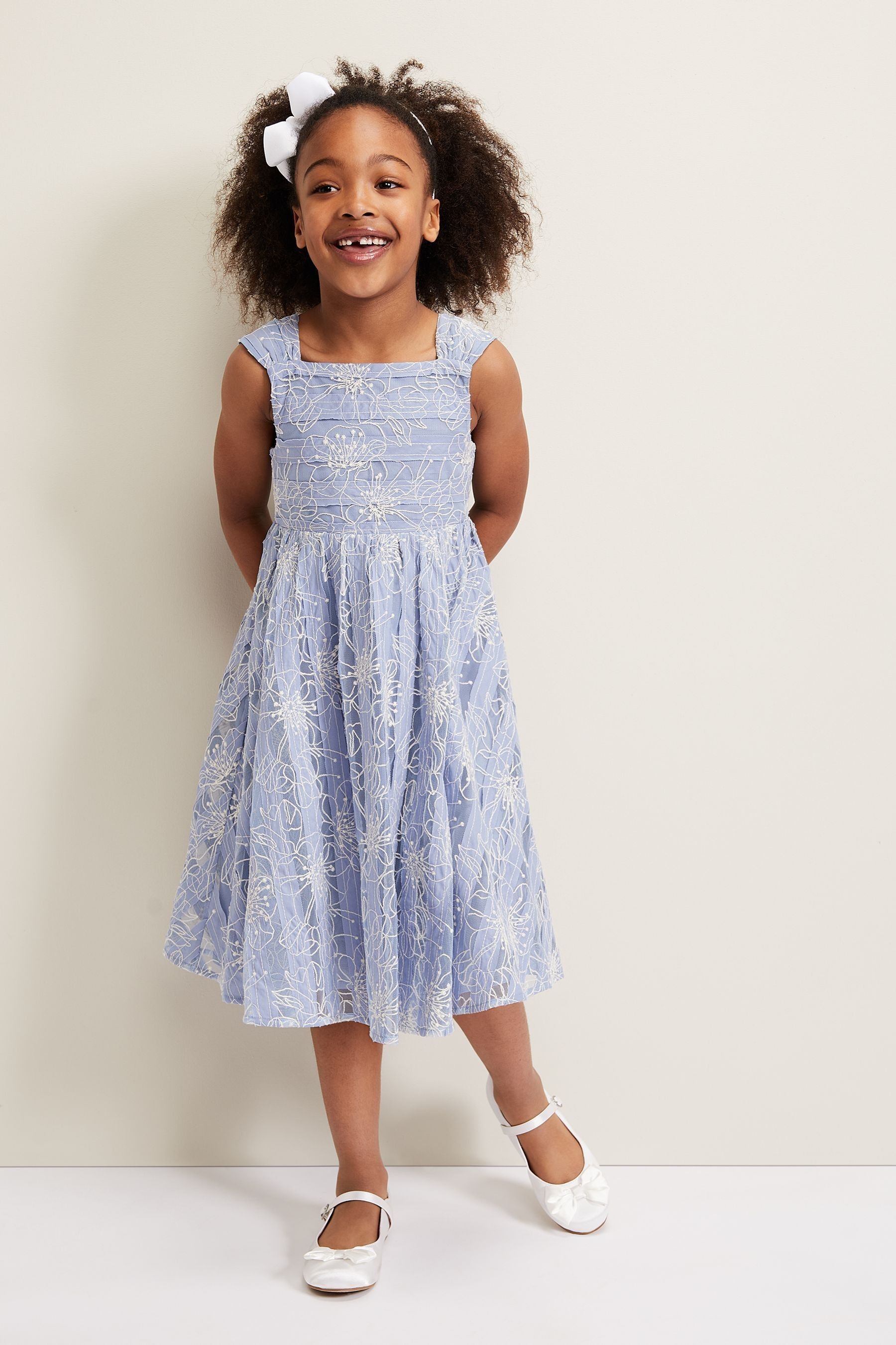 Phase Eight Blue Amelia Embroidered Dress