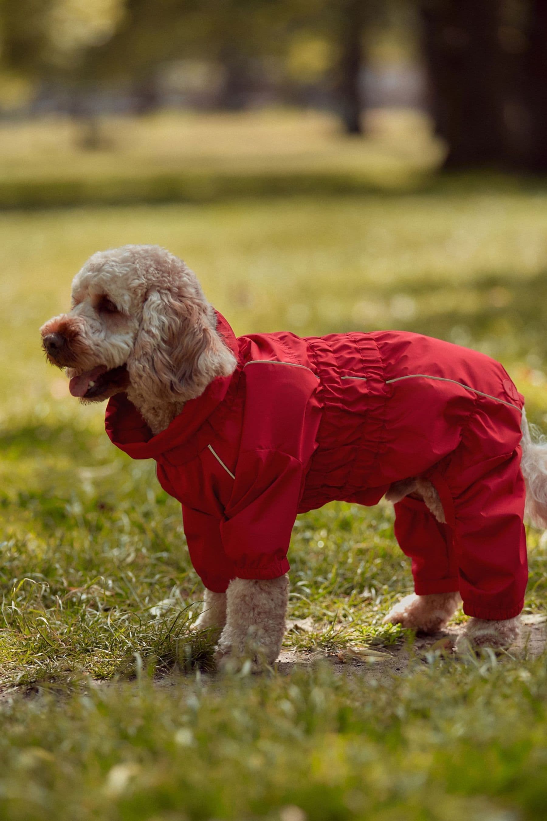 4 legged dog sweater best sale