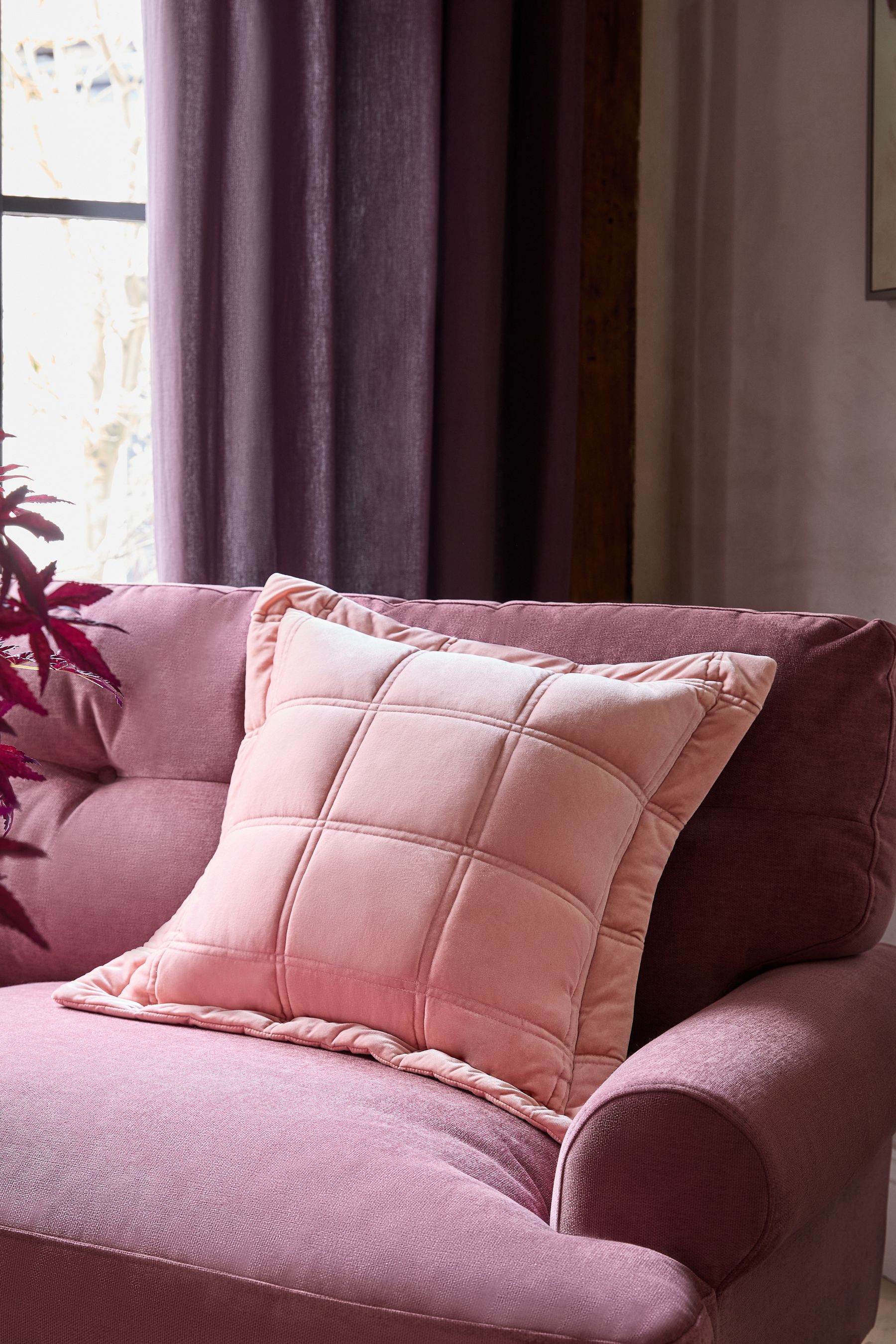 Buy Blush Pink 100 Cotton Lustre Velvet Cushion from Next Luxembourg