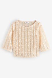 Cream Sequin Sheer Fluffy Quater Sleeve Top - Image 6 of 8