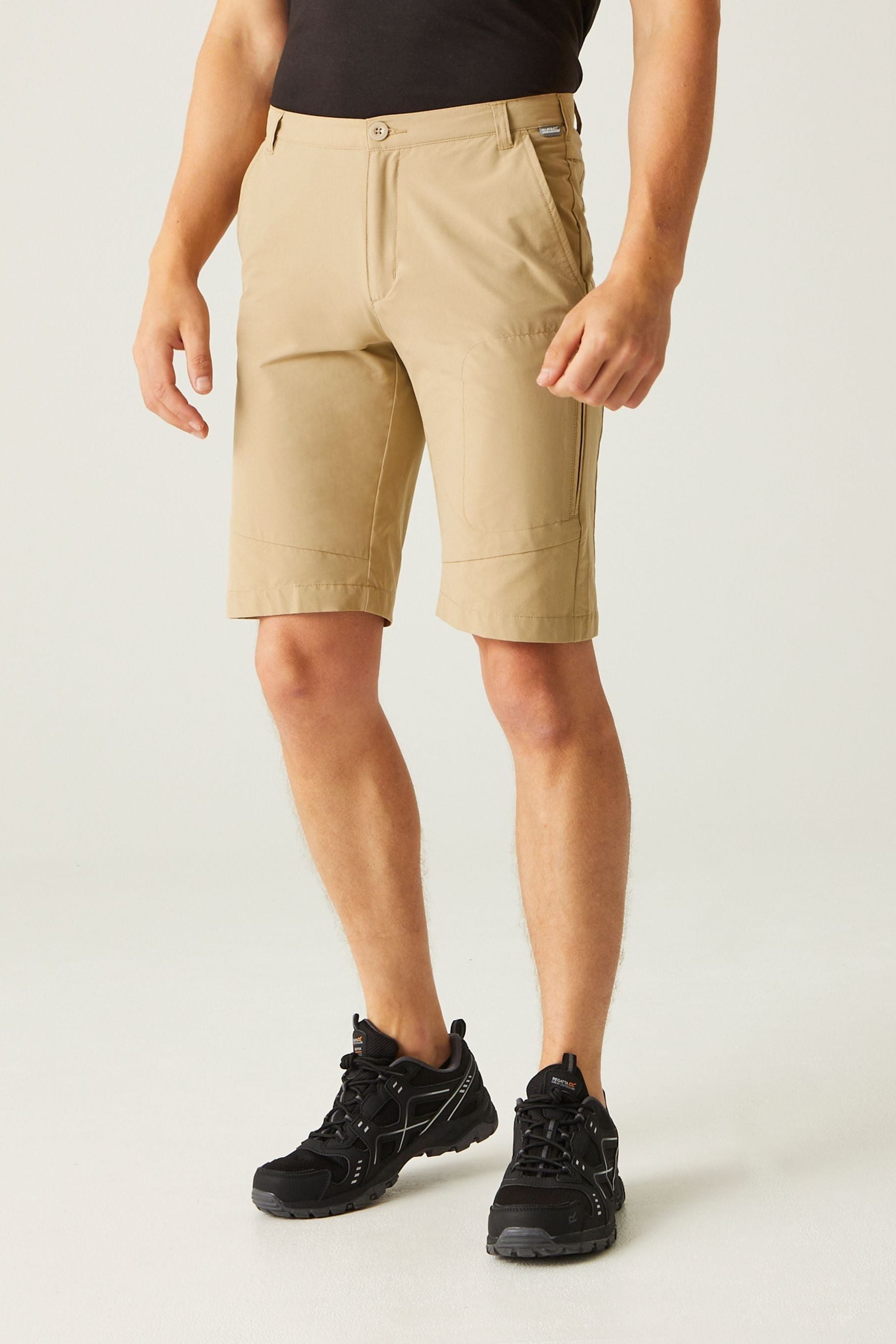 Buy Regatta Natural Highton Long Walking Shorts from Next Luxembourg