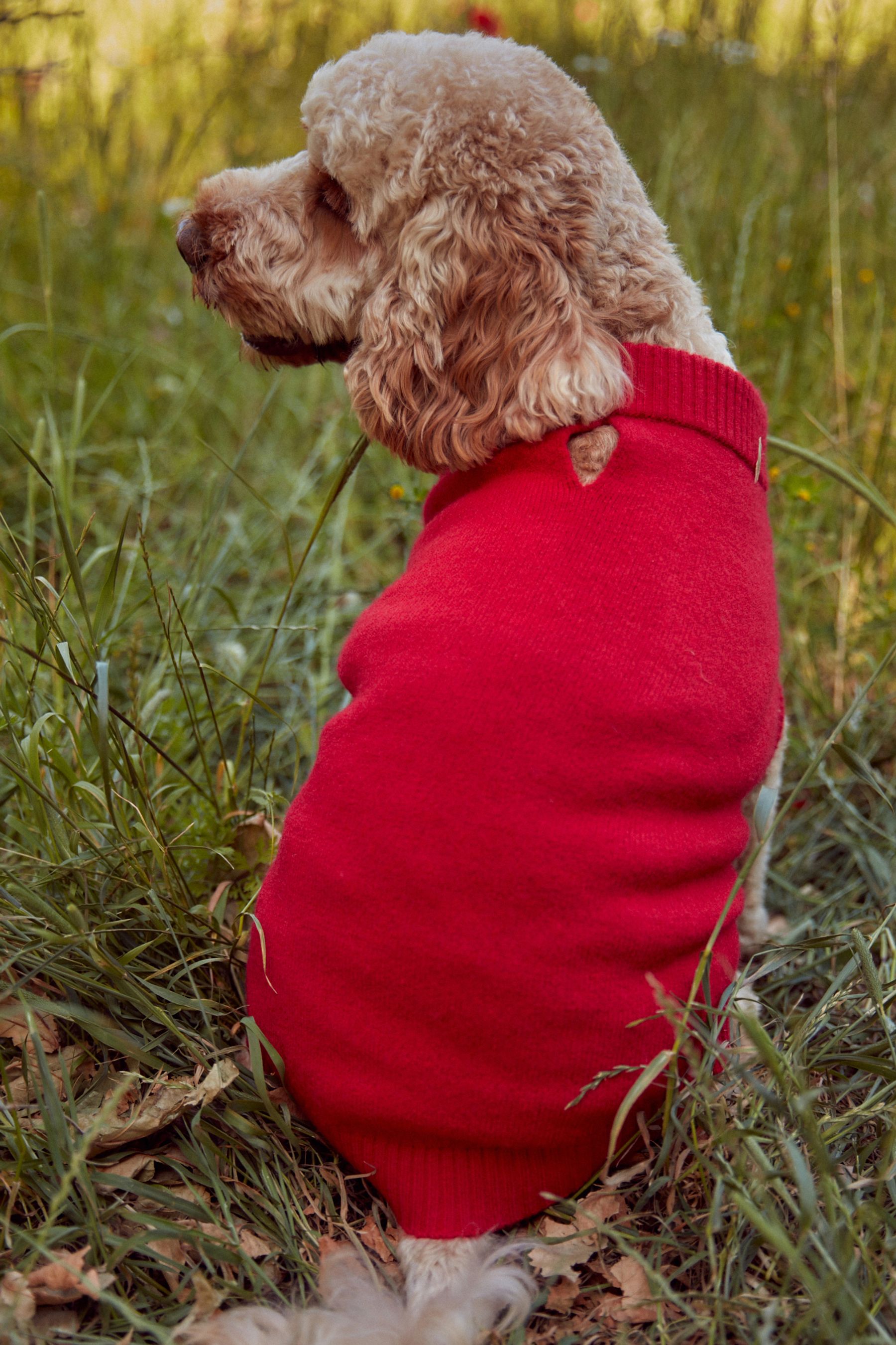 Red dog jumper discount