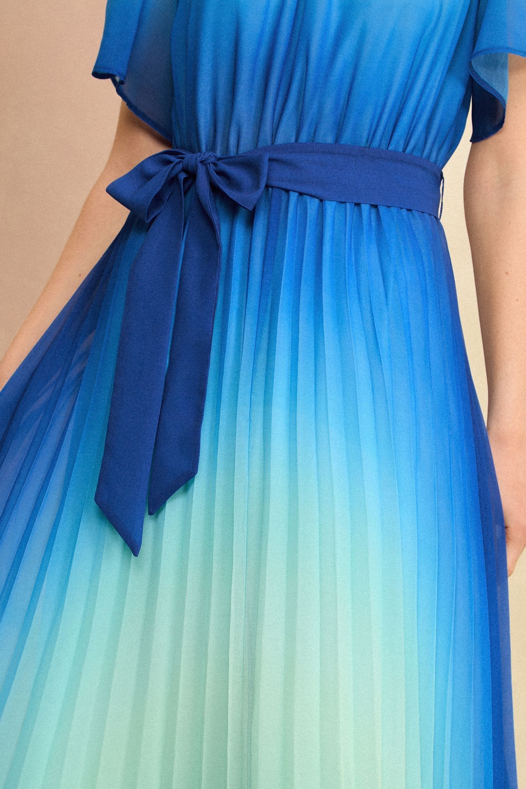 Buy Love Roses Blue Ombre Petal Sleeve Pleated Belted Midi Dress from Next Canada
