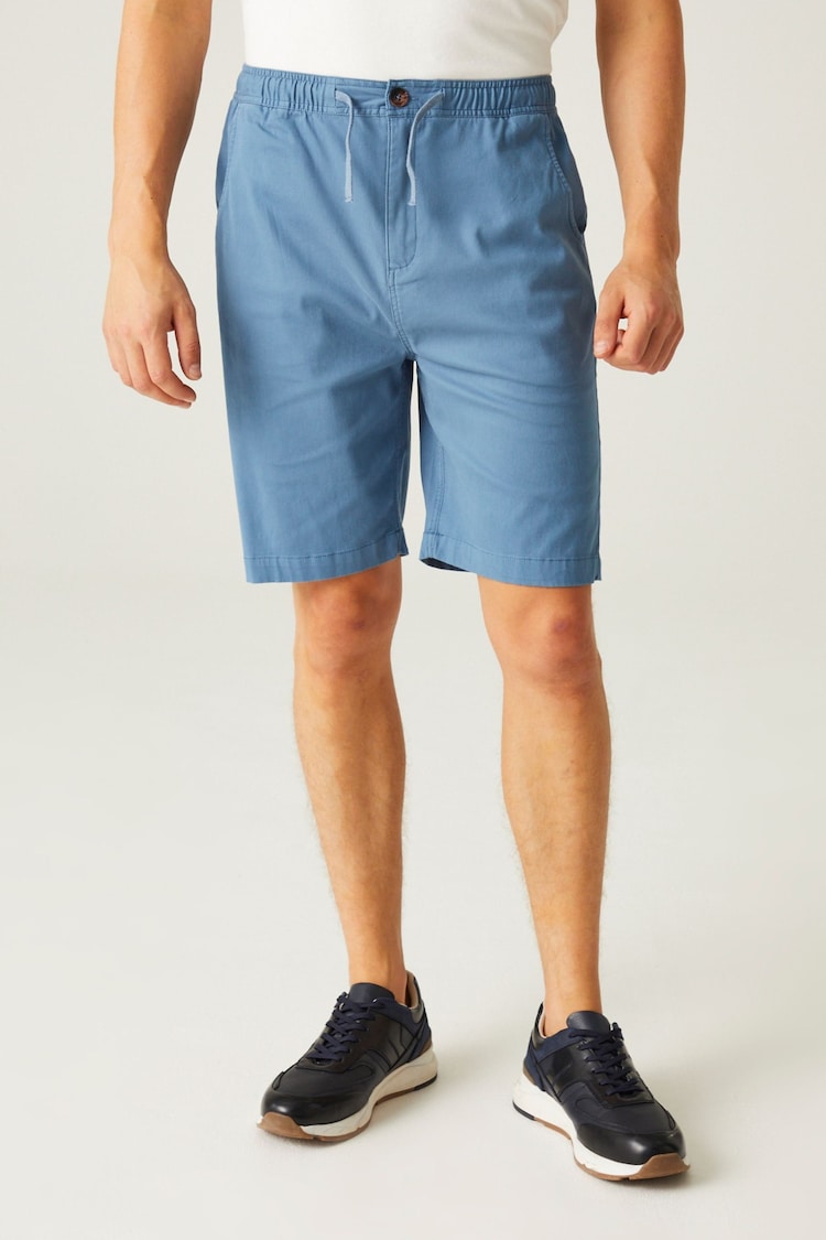 Regatta Light Blue Aldan Chino Shorts - Image 1 of 7