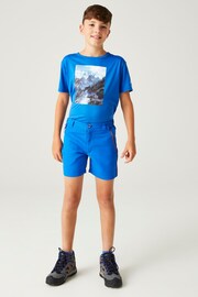 Regatta Blue Sorcer Mountain Shorts - Image 1 of 7