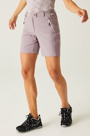 Regatta Purple Mountain II Walking Shorts - Image 1 of 7