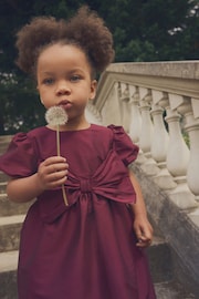 Raspberry Pink Taffeta Bow Party Dress (3mths-10yrs) - Image 4 of 7