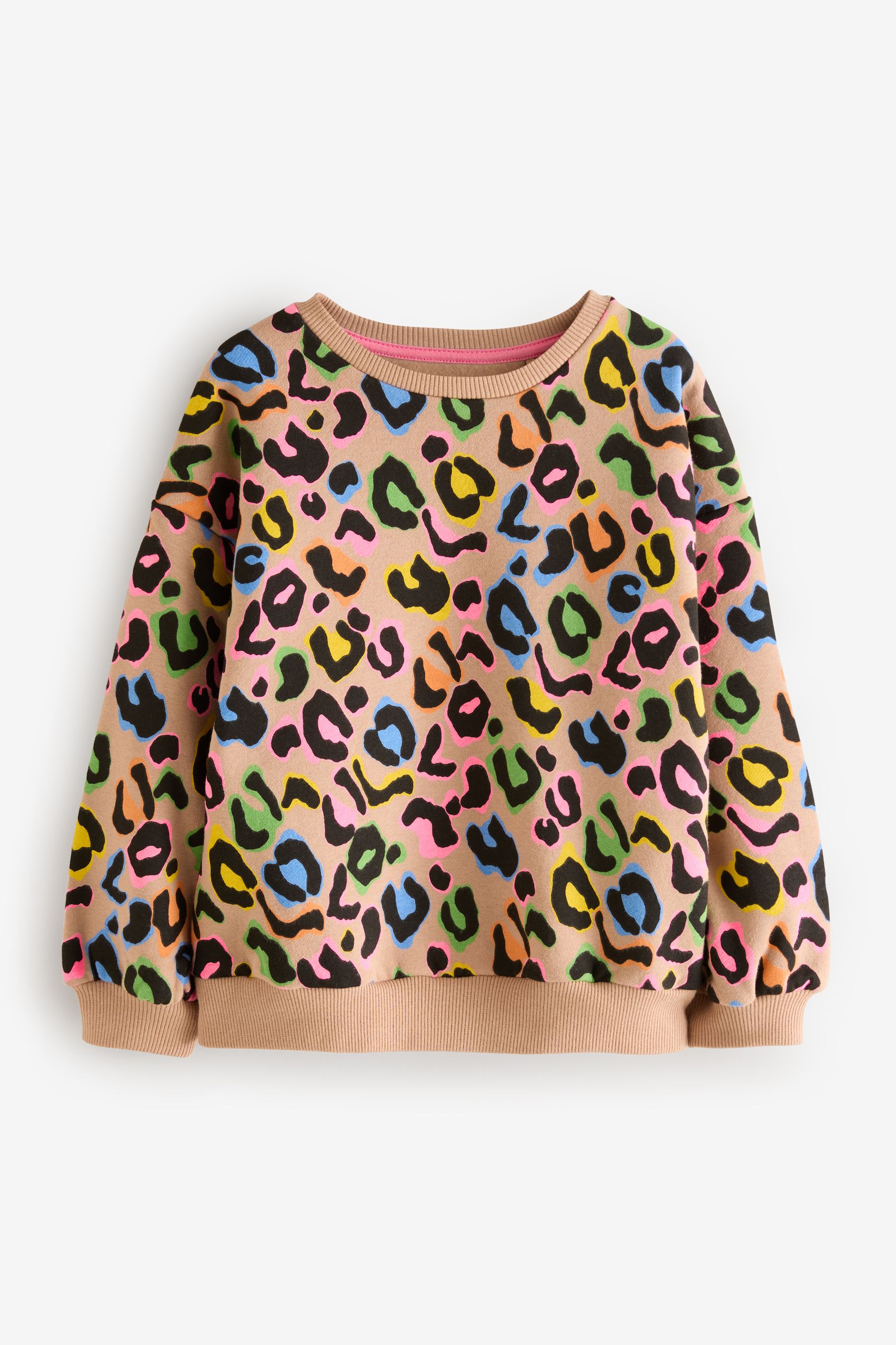 Buy Animal Rainbow Sweatshirt 3 16yrs from Next France